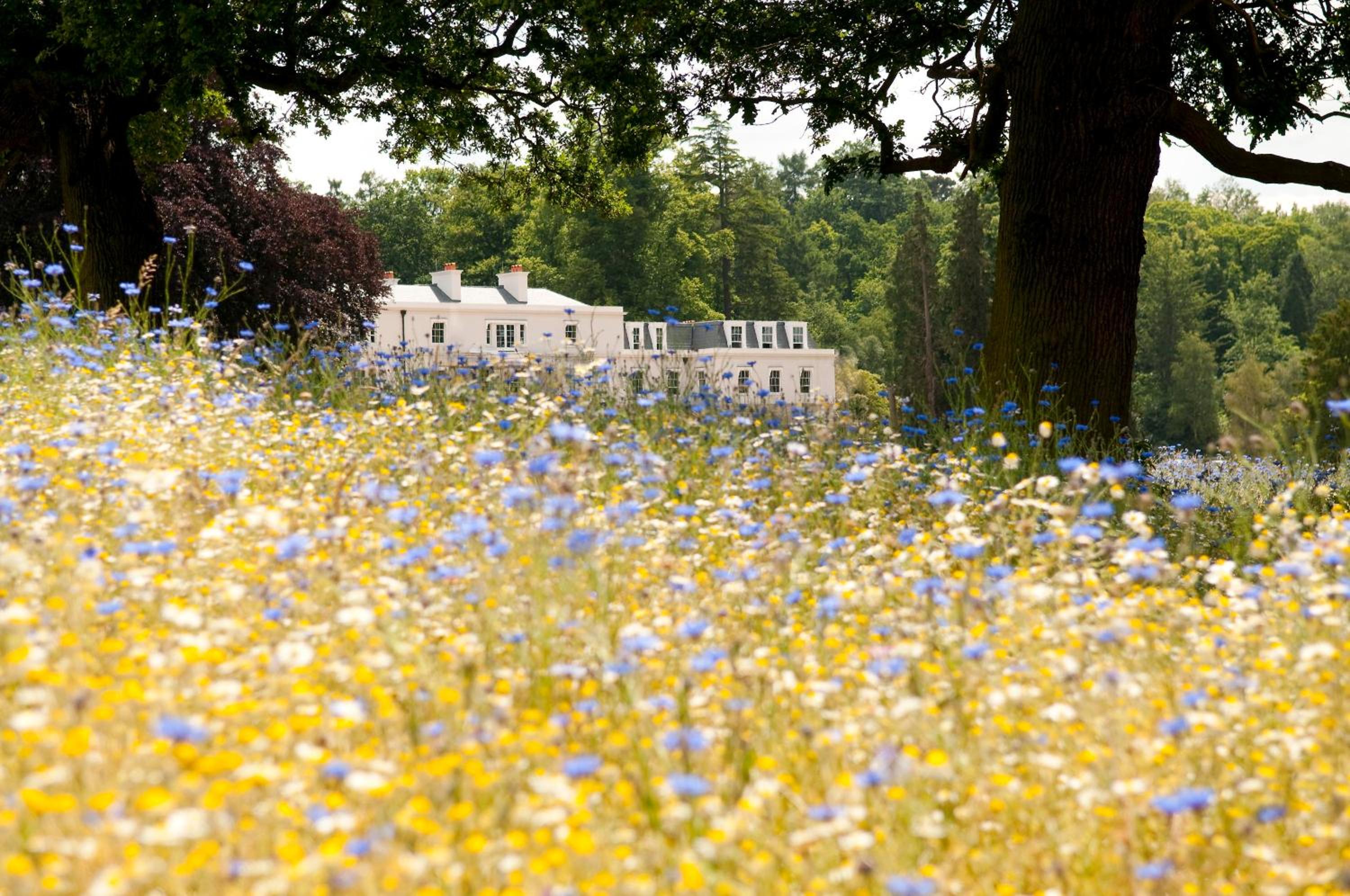 Coworth Park - Dorchester Collection 27