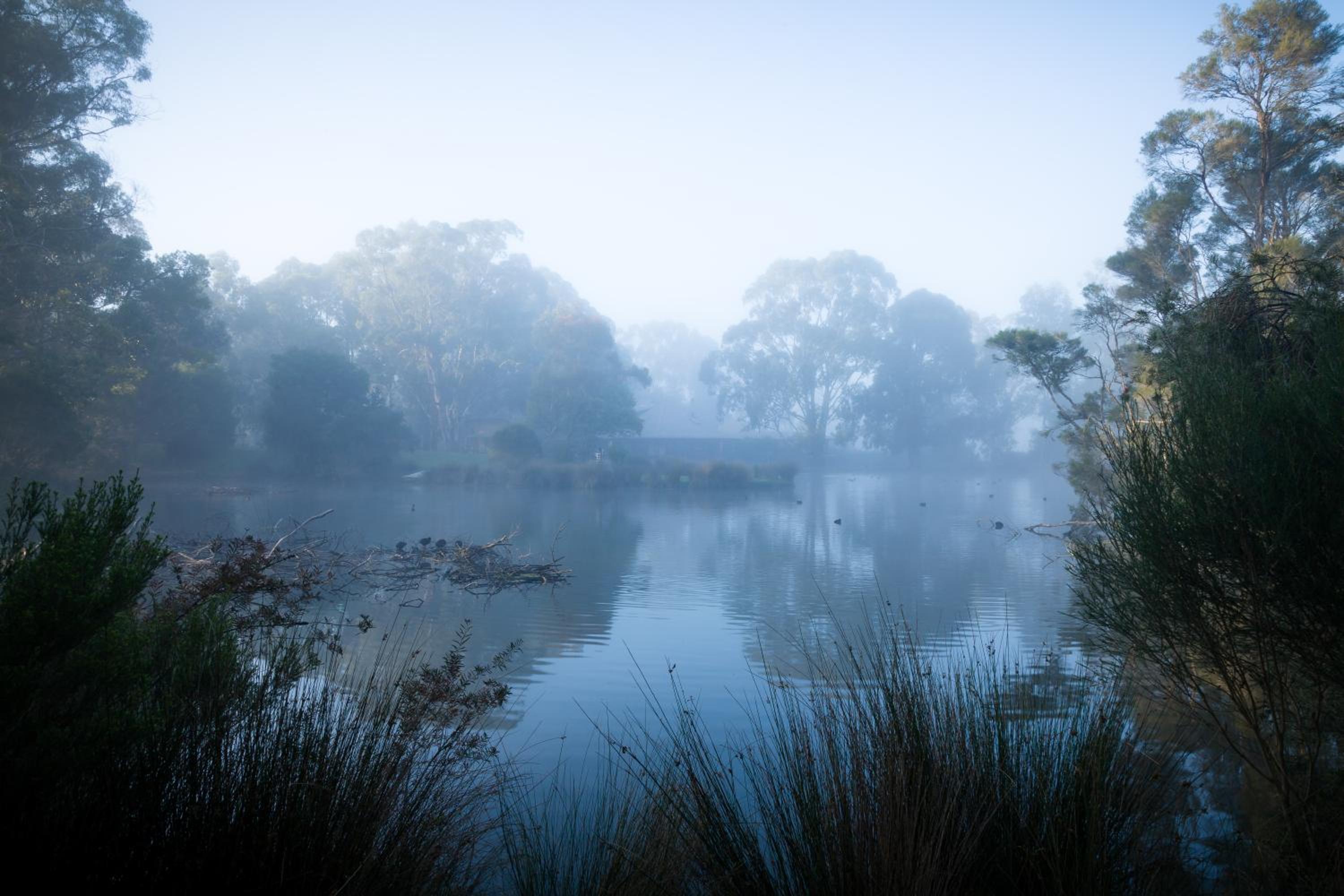 The Burrow at Wombat Bend