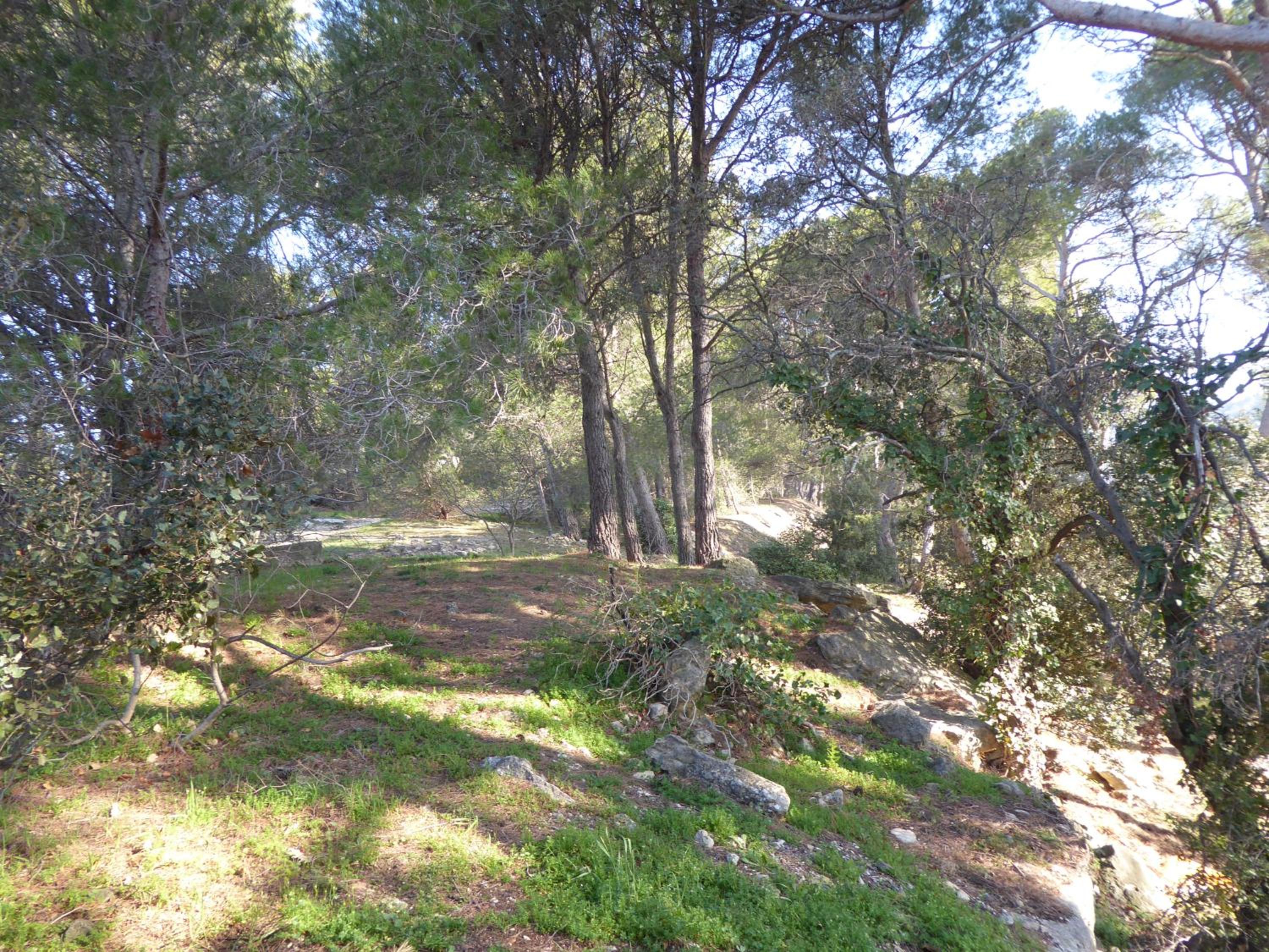 Photo 37