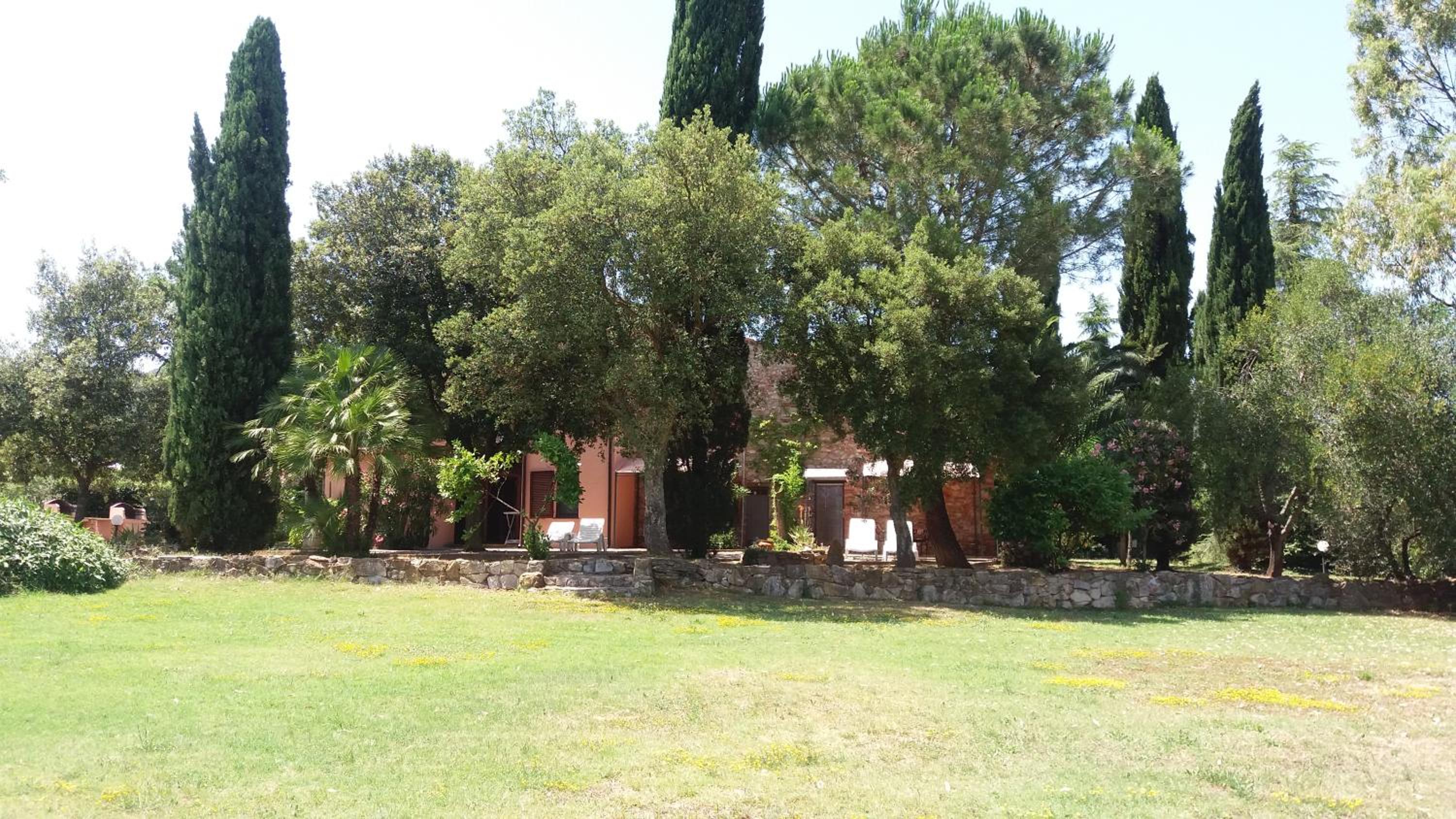 Photo 43