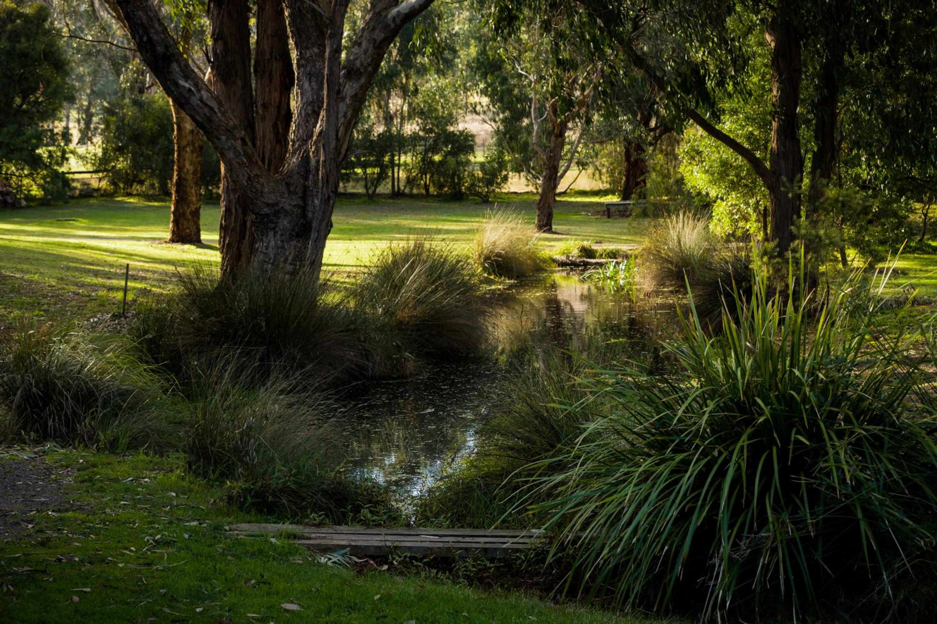 The Burrow at Wombat Bend