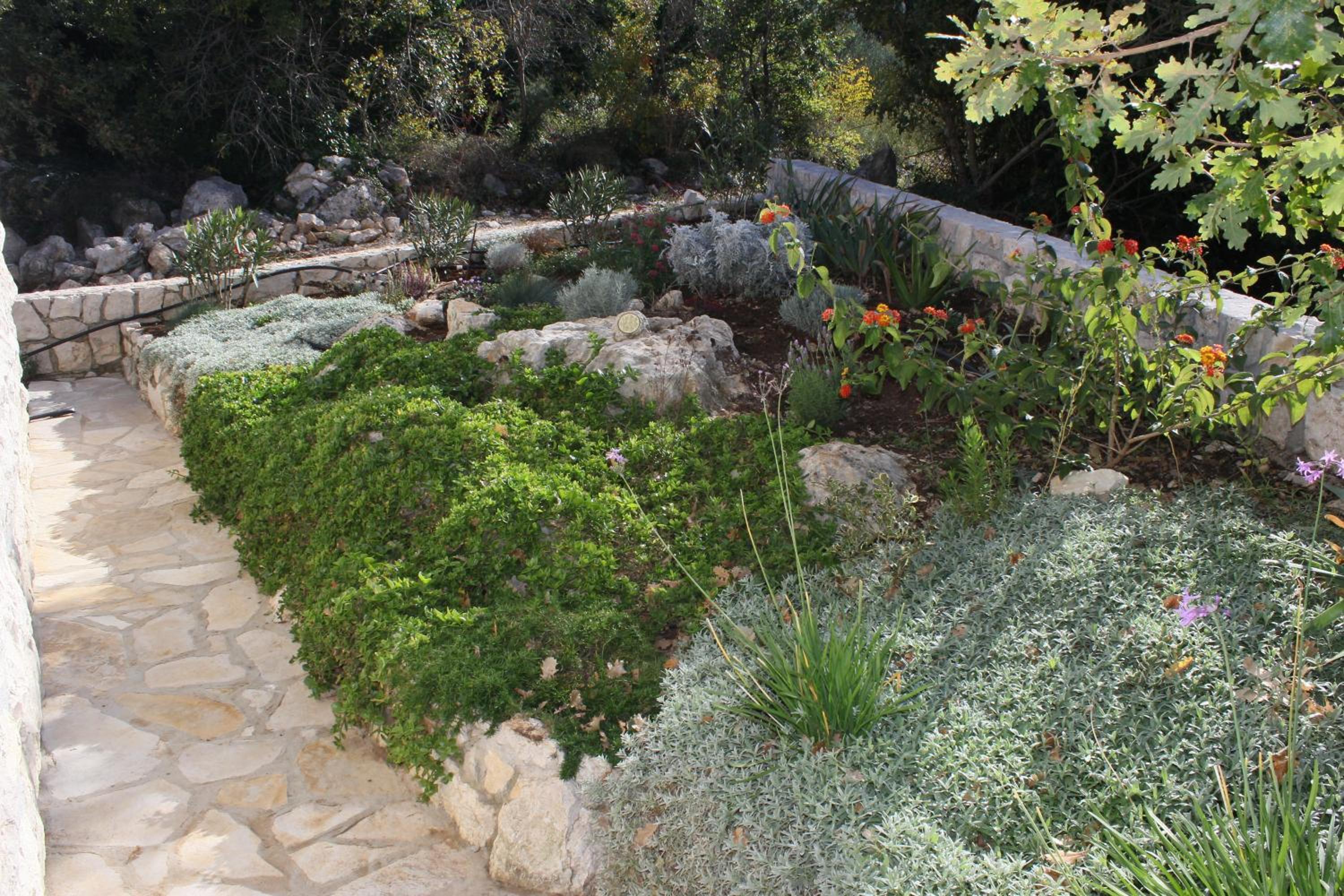 Photo 43
