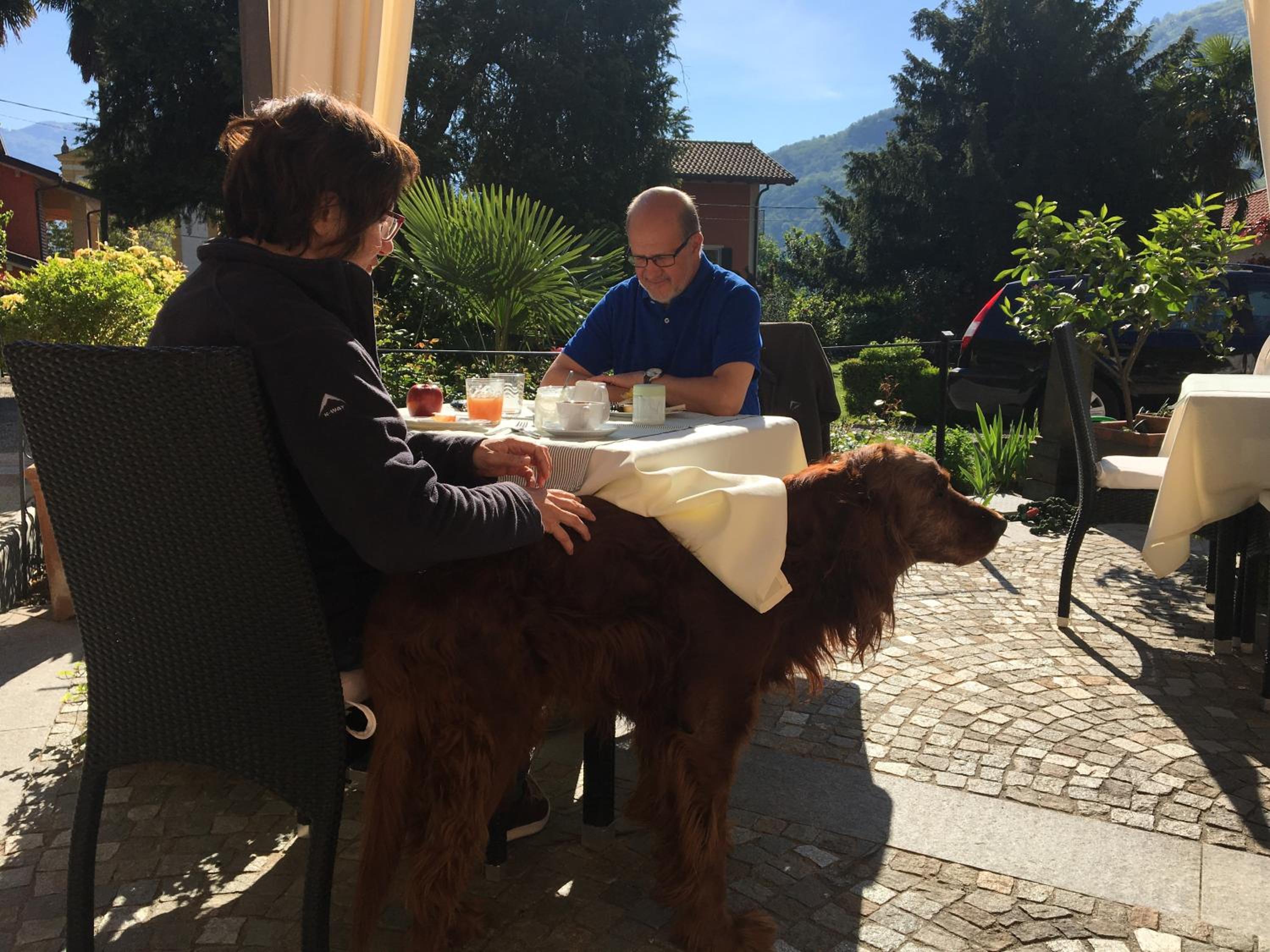 B&B Villa Dei Pini