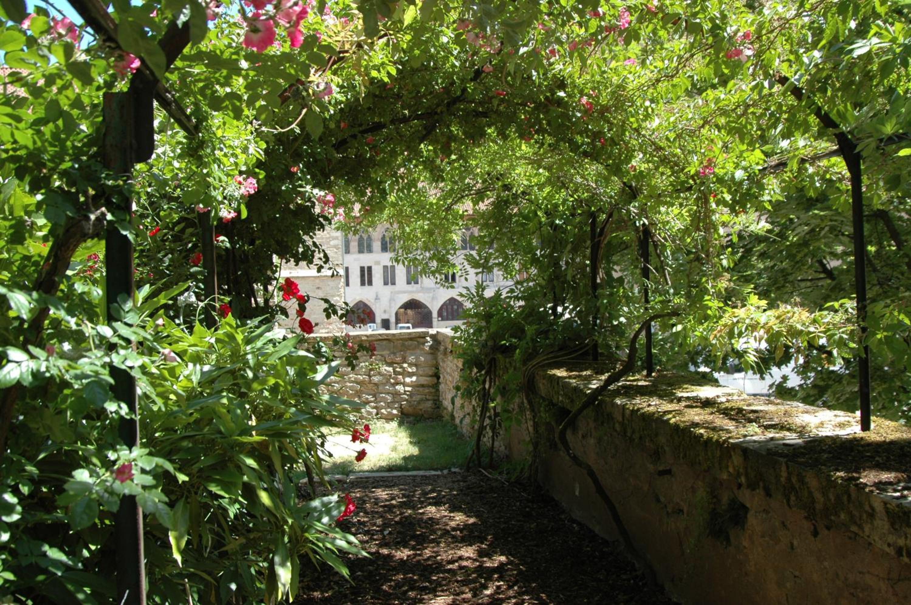 Photo 18