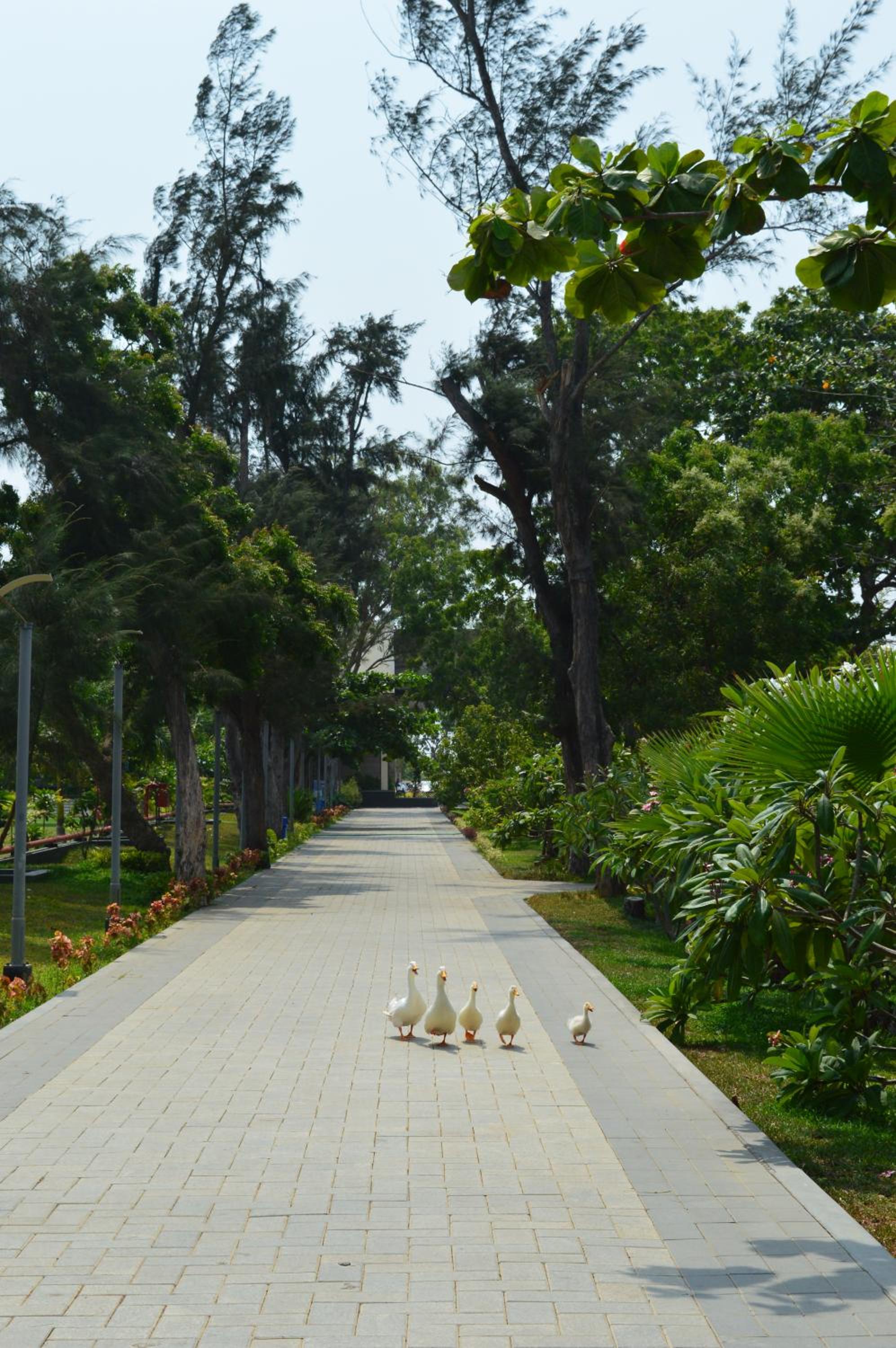 Welcomhotel by ITC Hotels, Kences Palm Beach, Mamallapuram