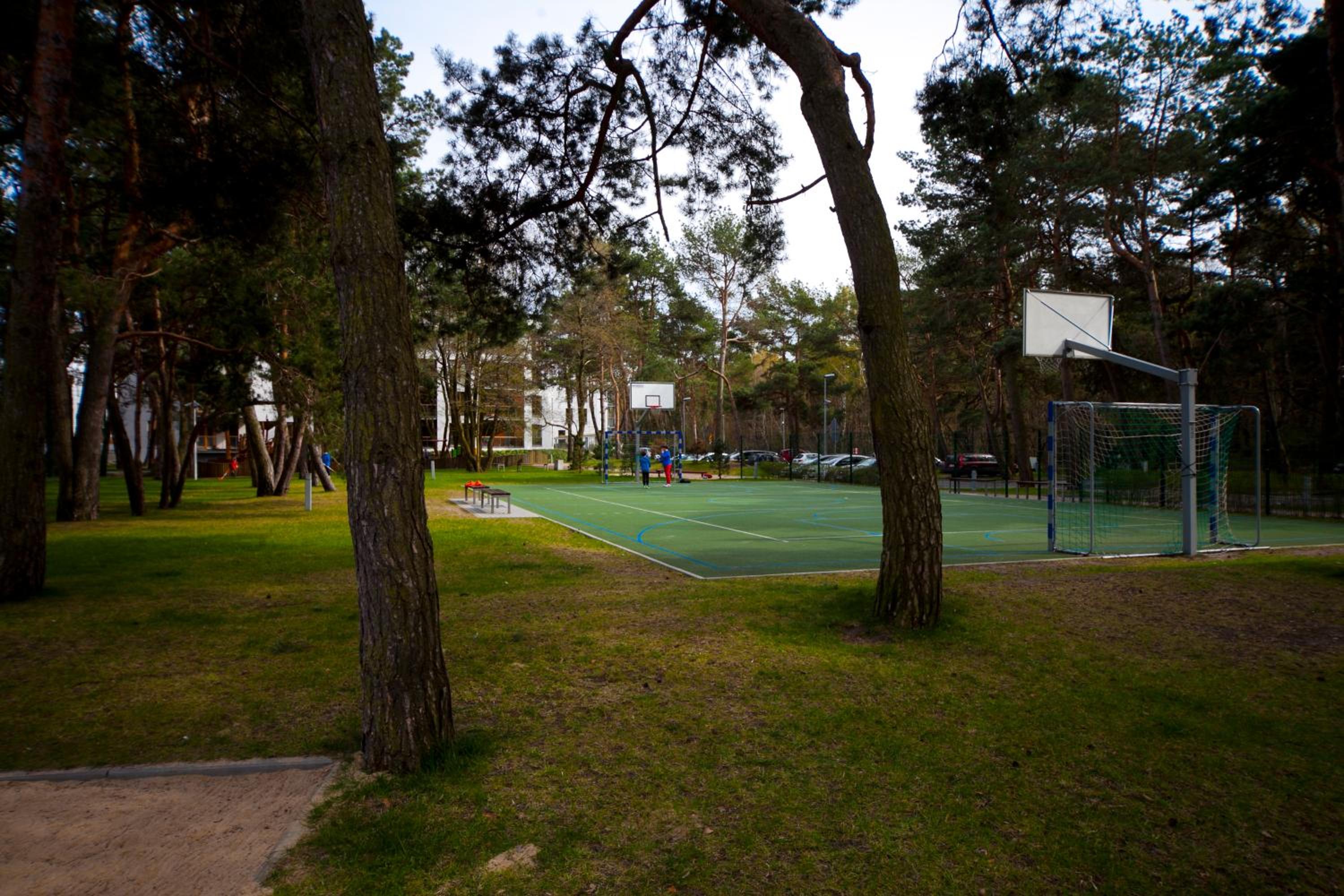 Apartament Wśród Drzew view 2