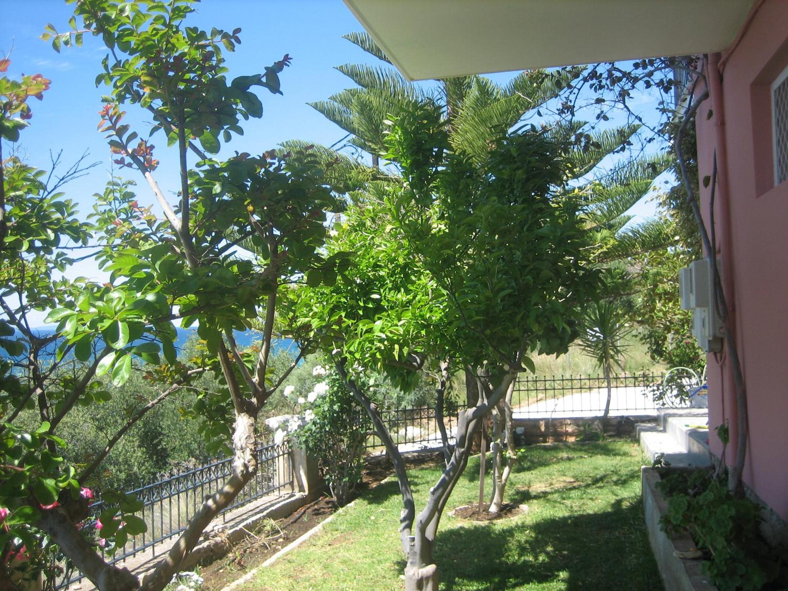 Photo 41