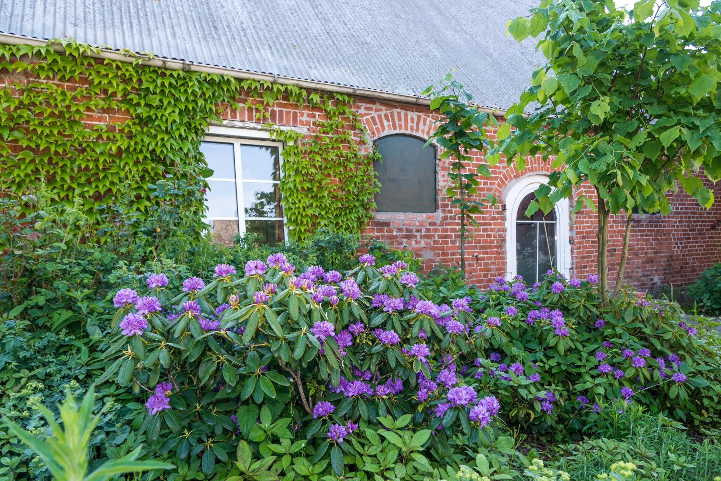 Ferienhof Kolauerhof - Bauernhofurlaub in Grömitz