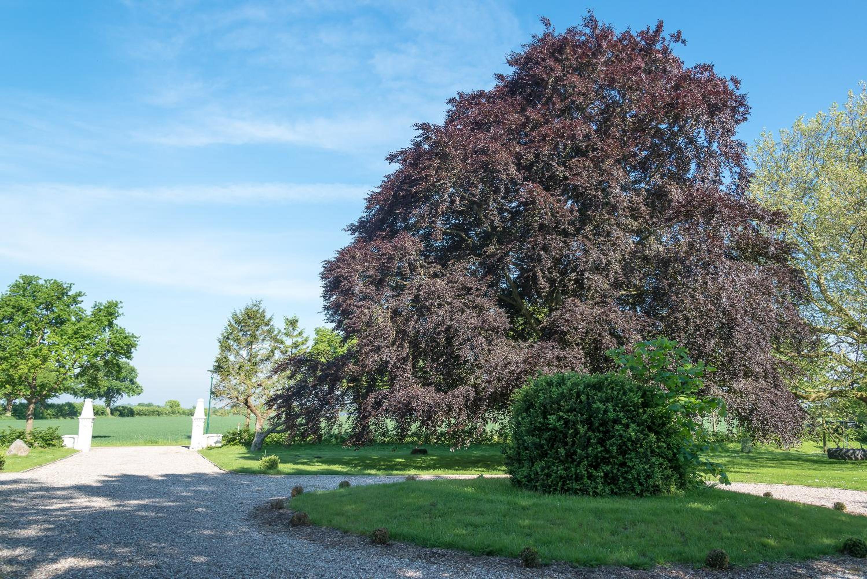 Ferienhof Kolauerhof - Bauernhofurlaub in Grömitz