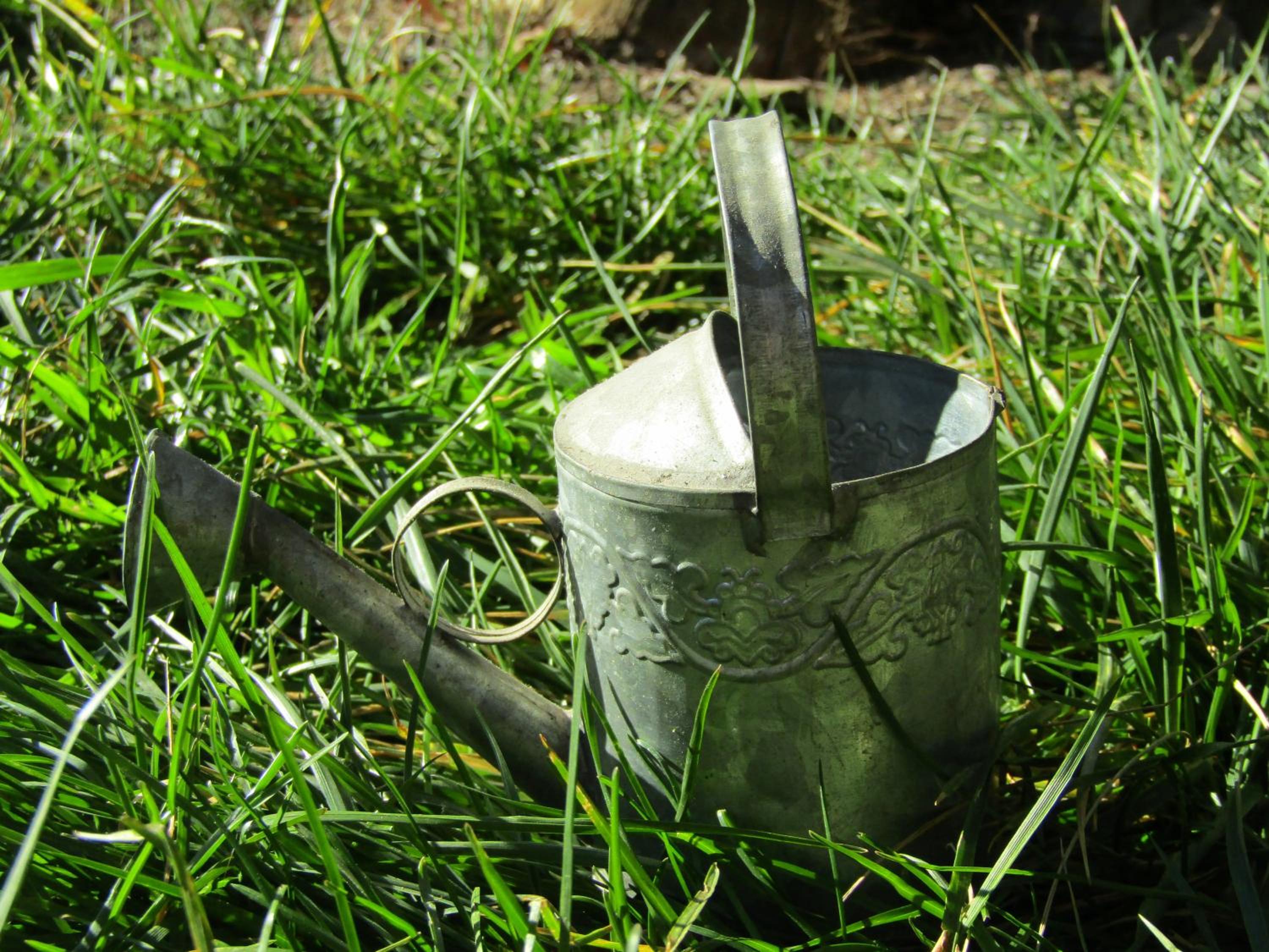 Cortijo Brazal La Ventaja