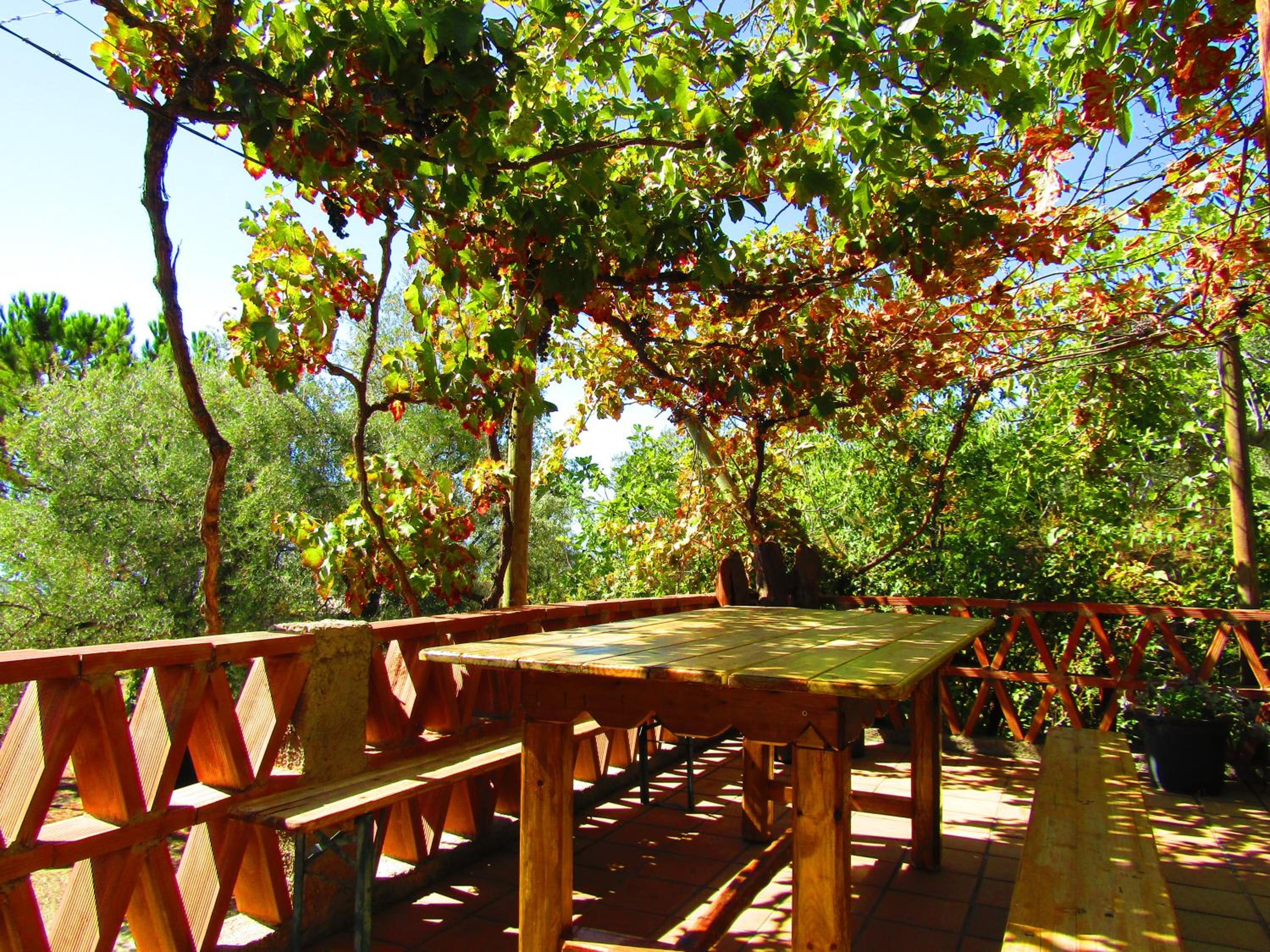 Cortijo Brazal La Ventaja