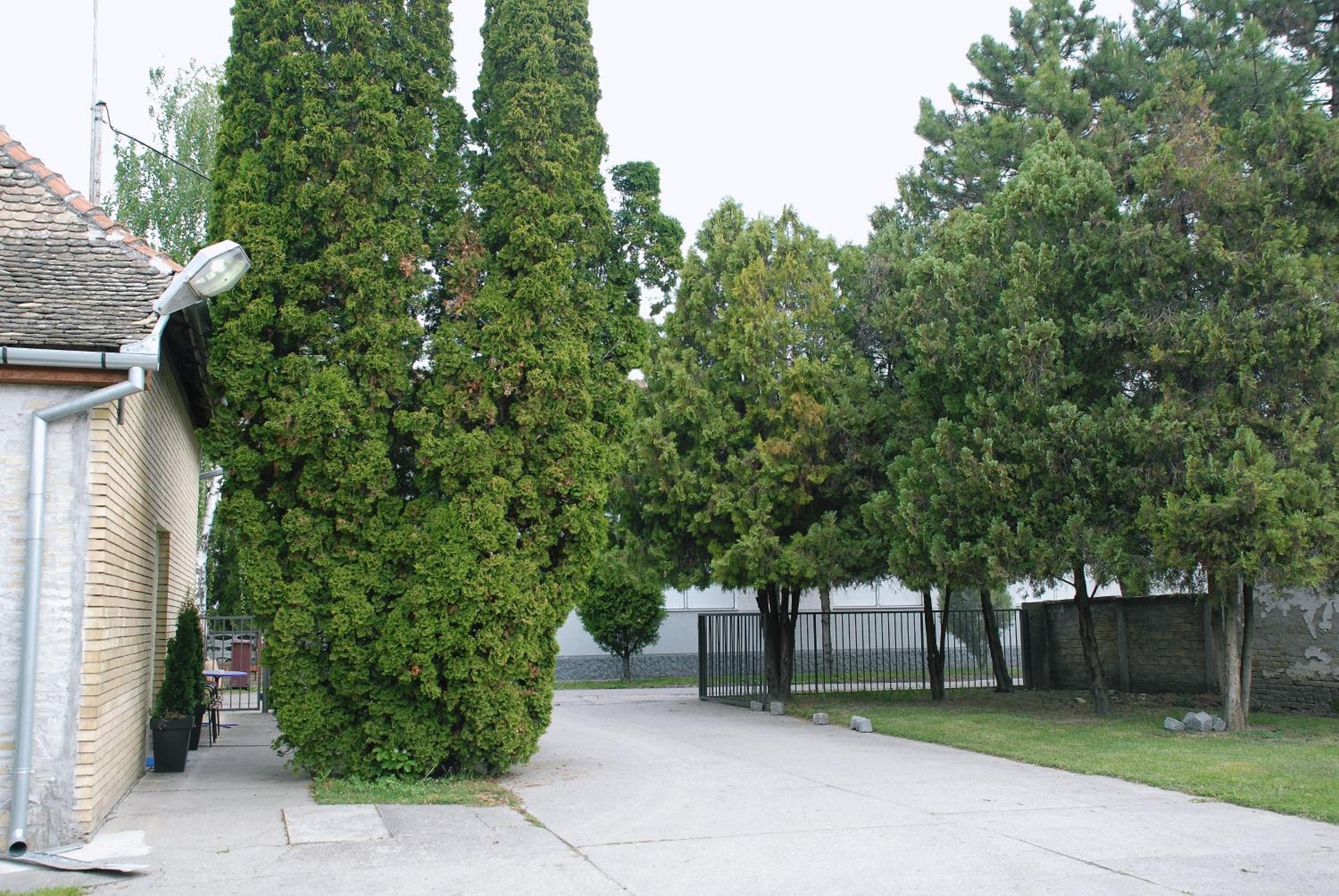 parking