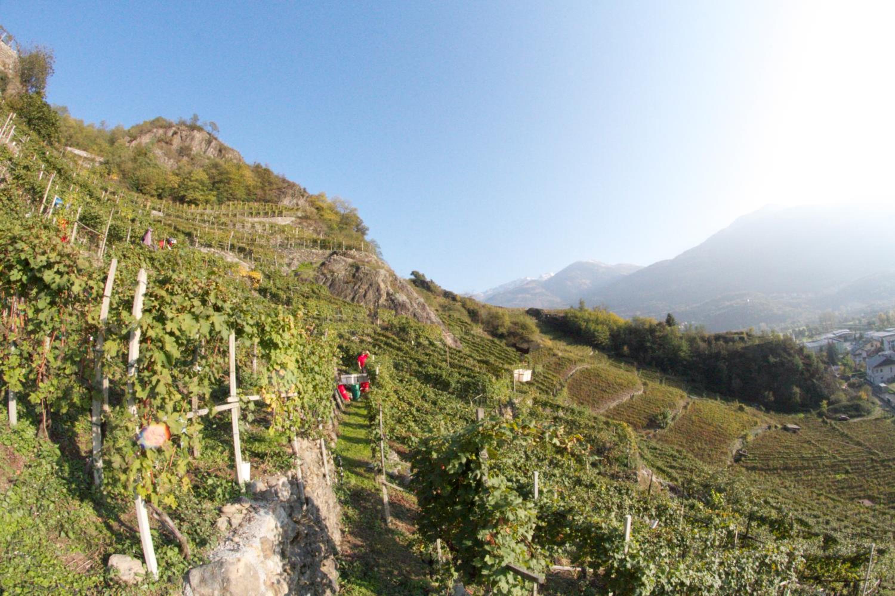winebnb