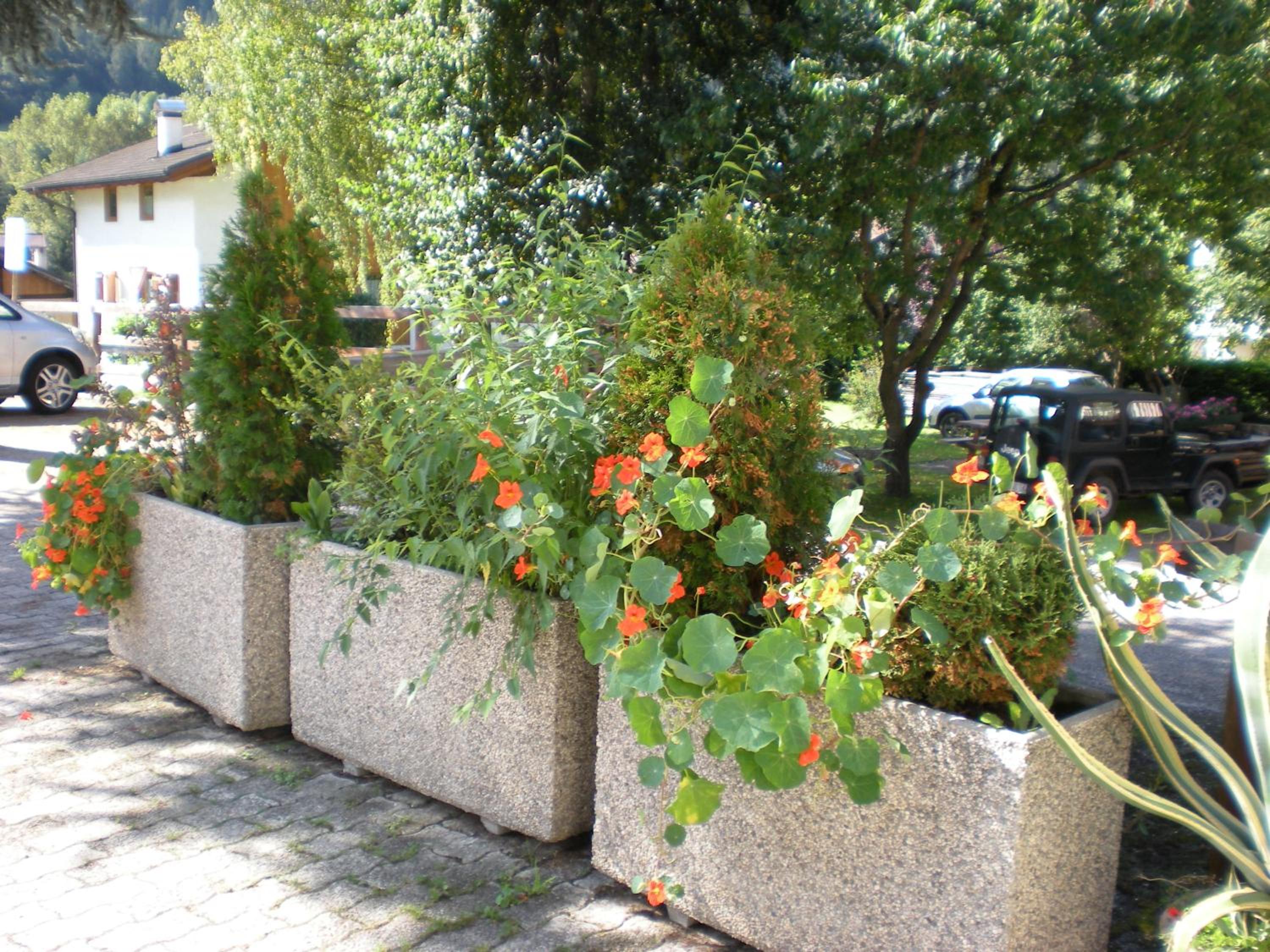 Photo 26