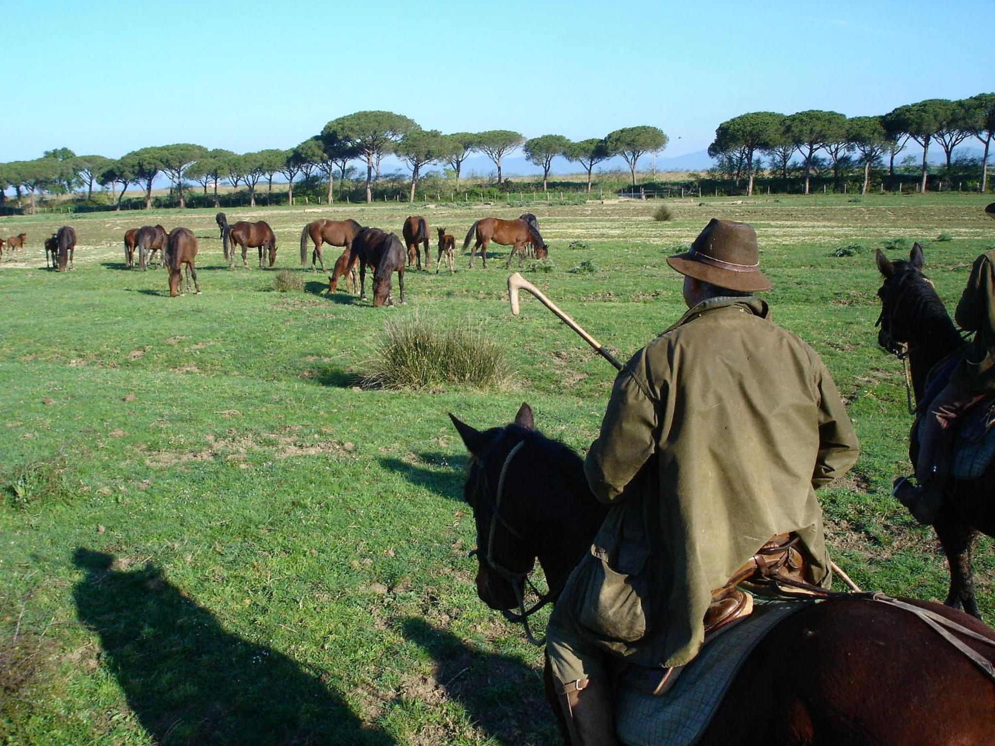 Agriturismo Biologico Sant'Egle