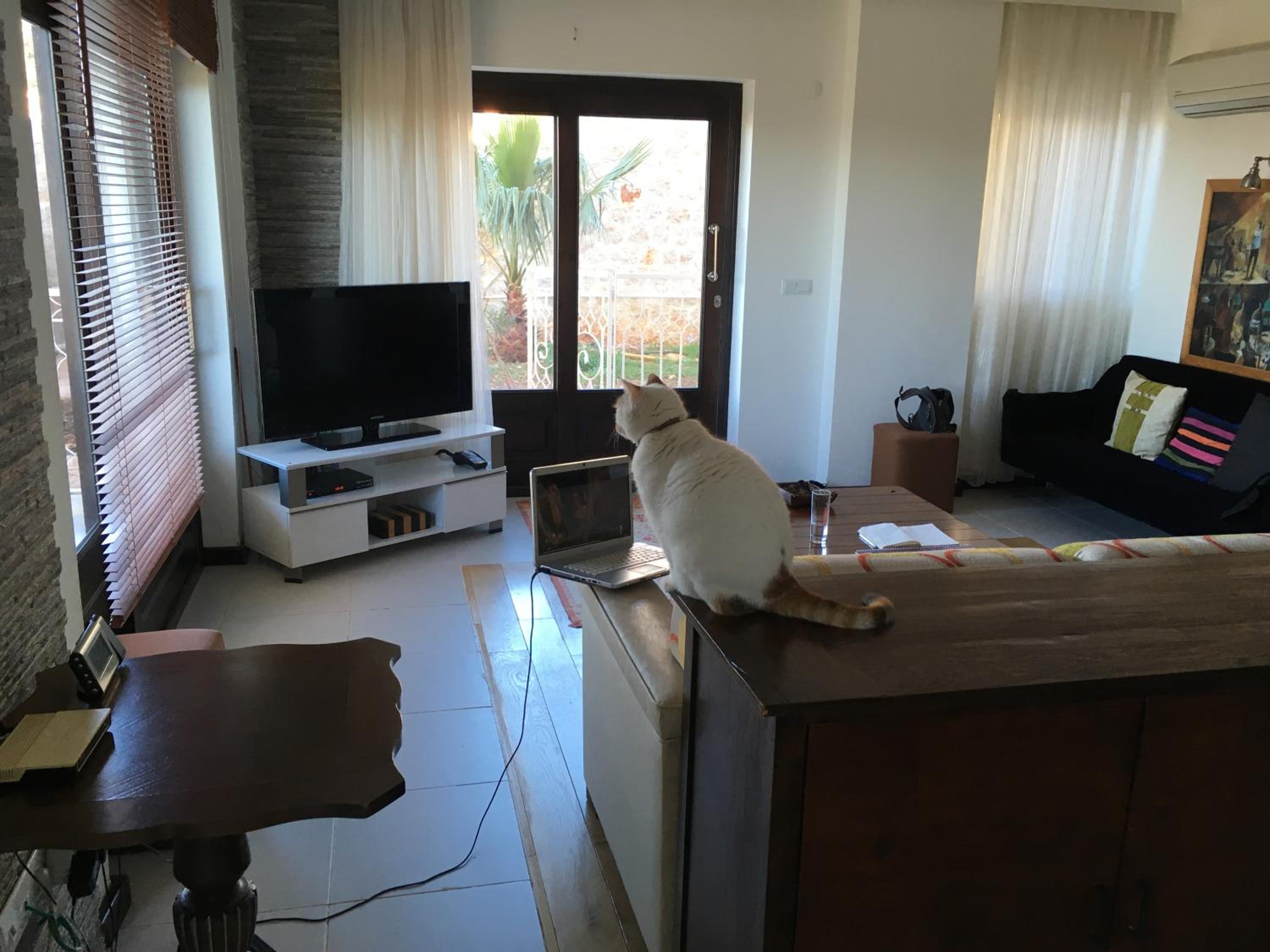 Derya Beach Apartment - Image 56