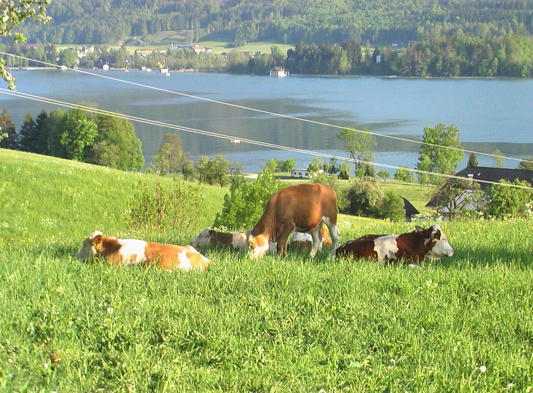 Hauslhof