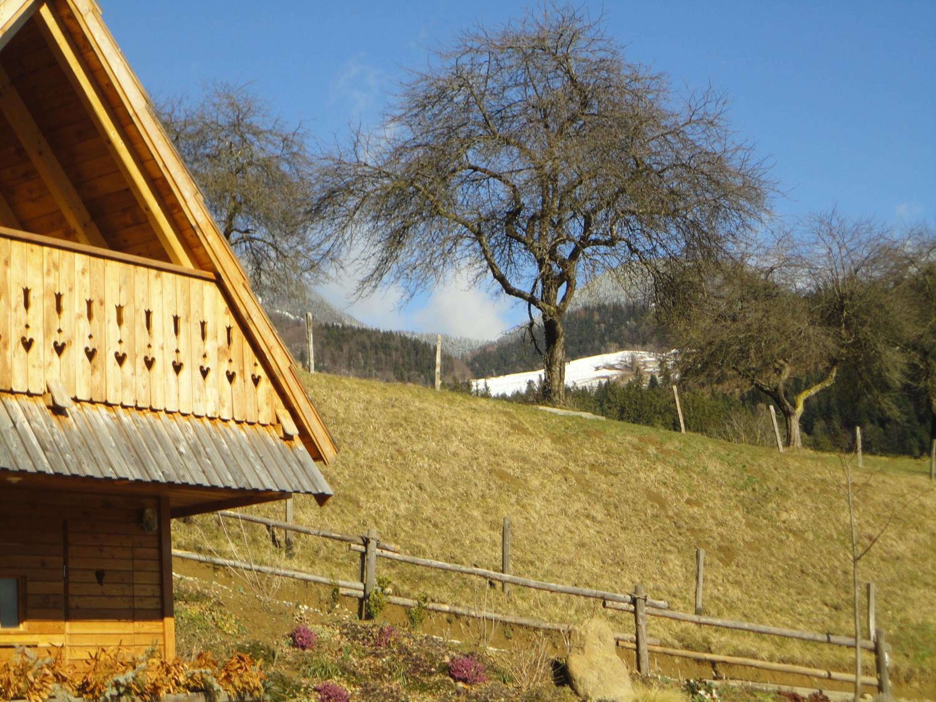 Glamping Savinja