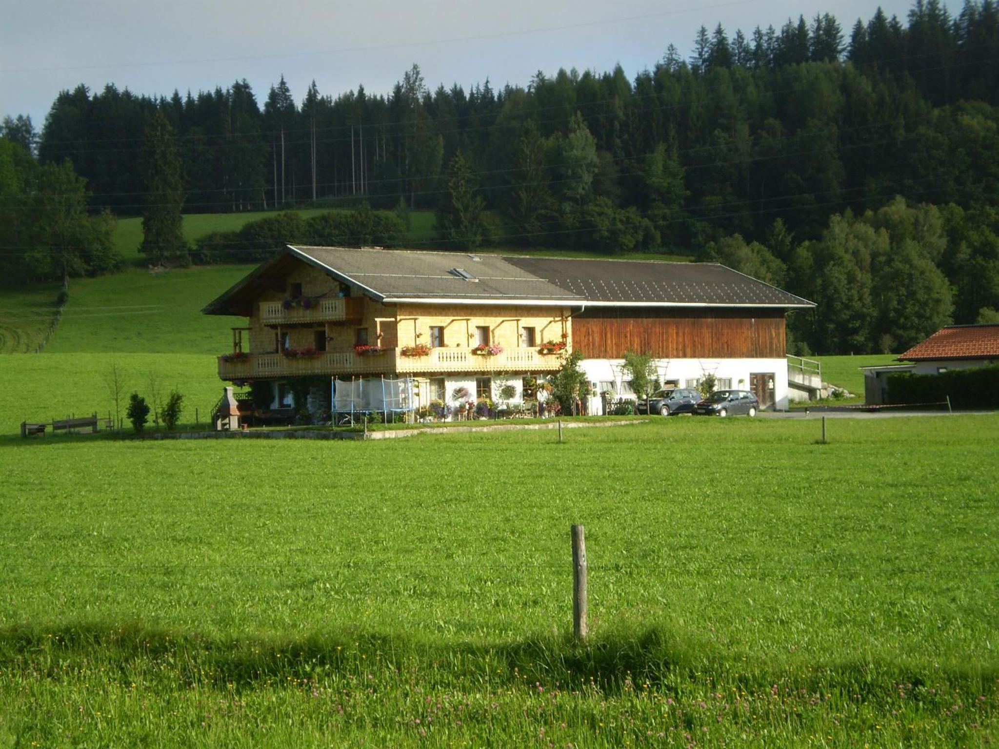 Photo 38