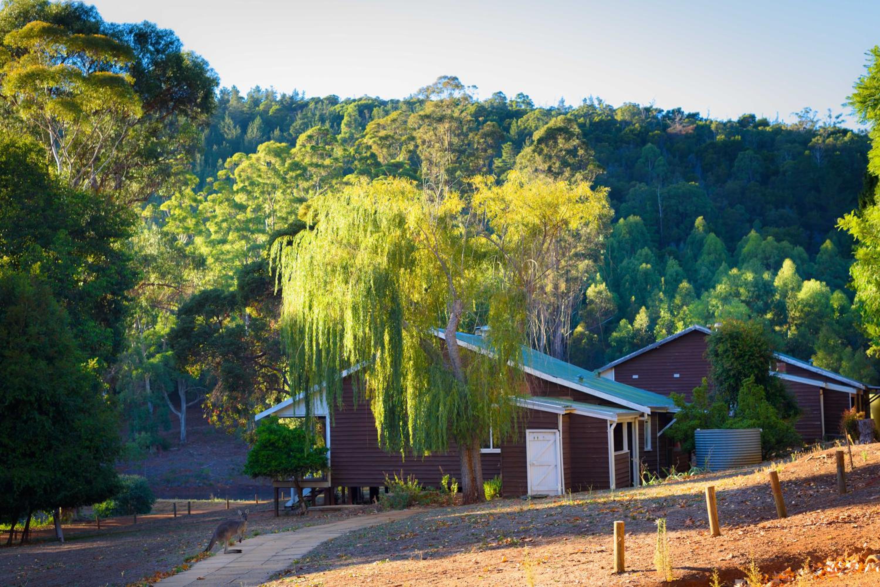 Lewana Cottages