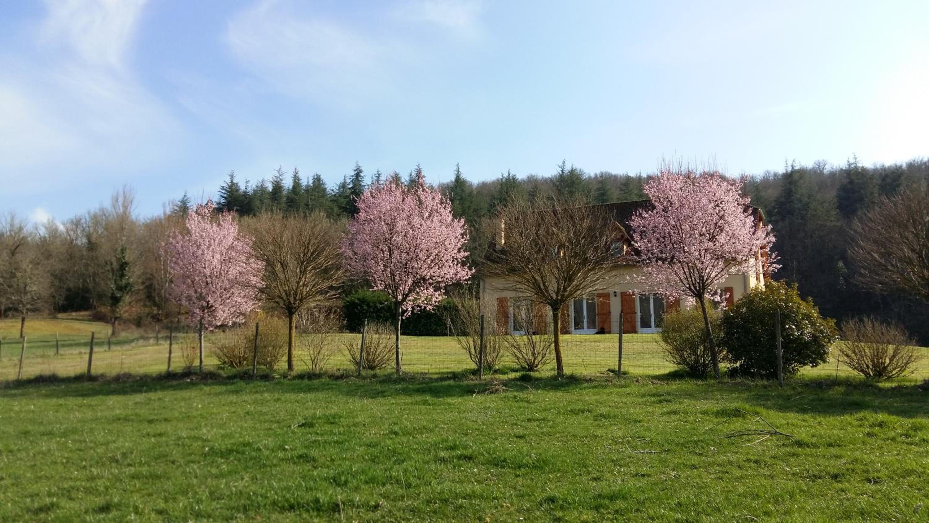 Photo 43