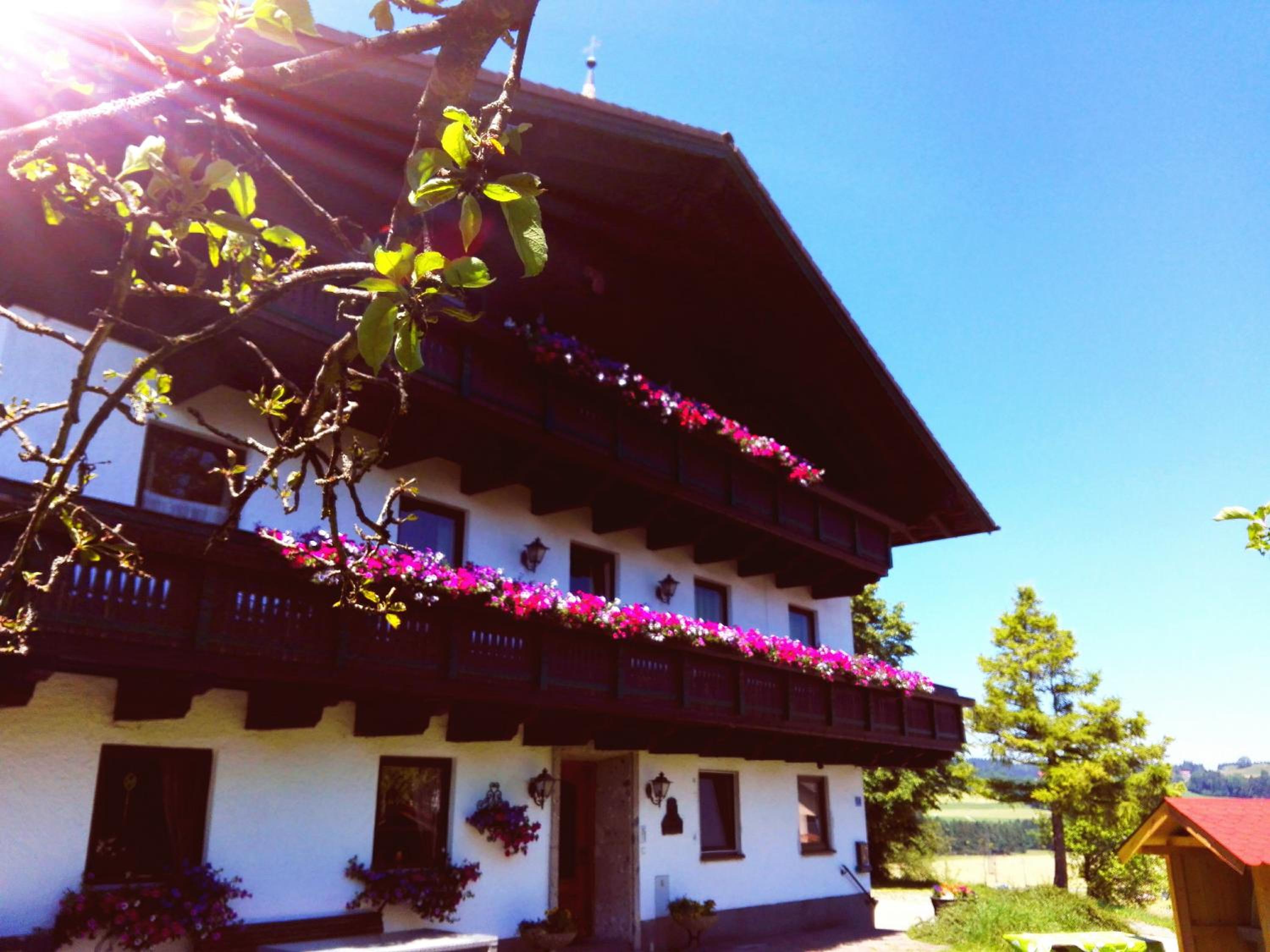 Schusterbauer