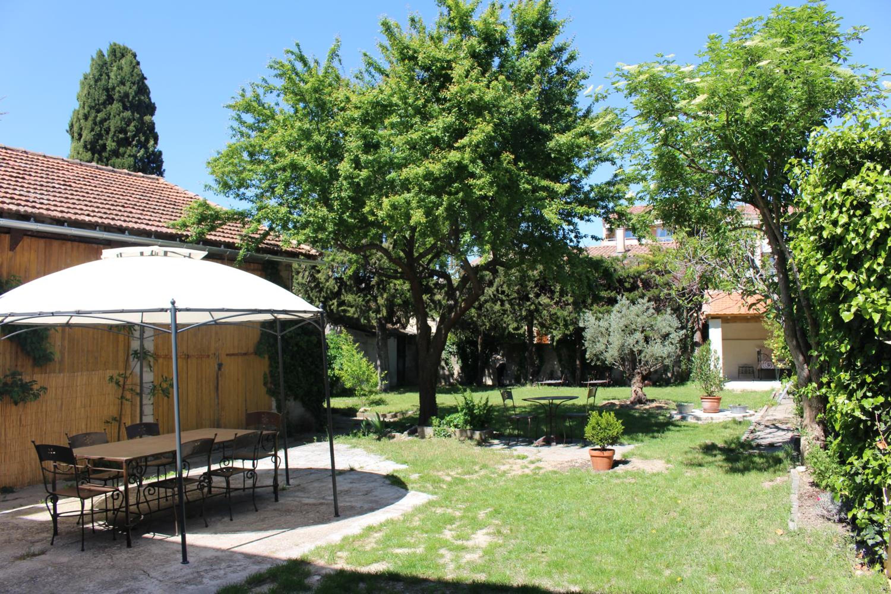 Photo 6