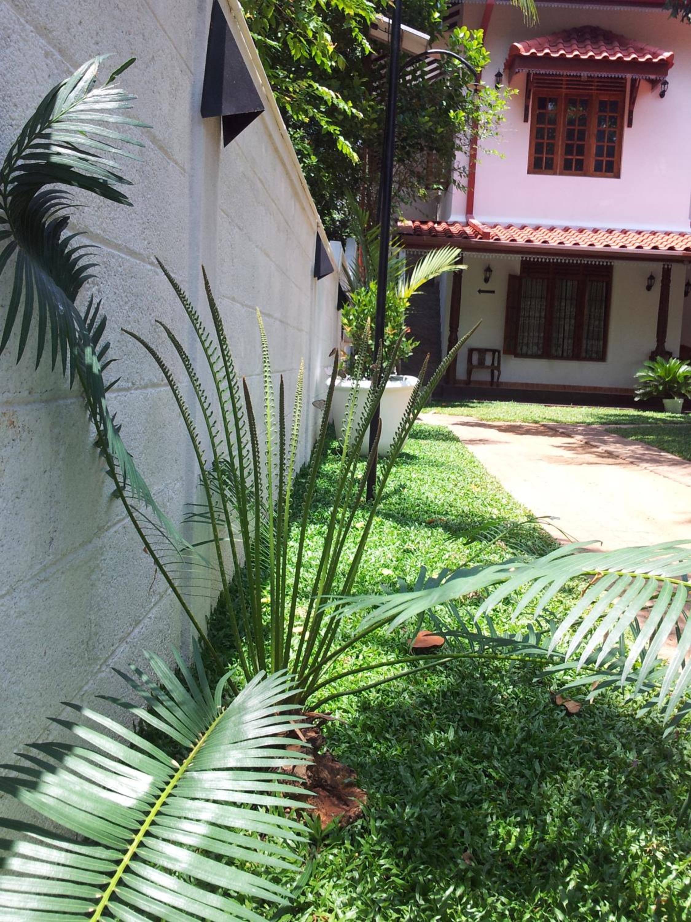 Photo 8