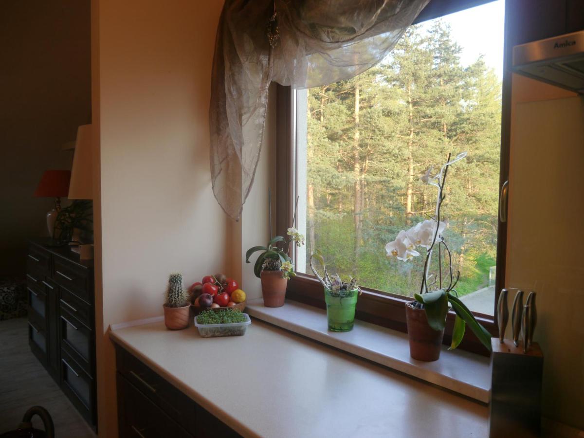 Photo 45