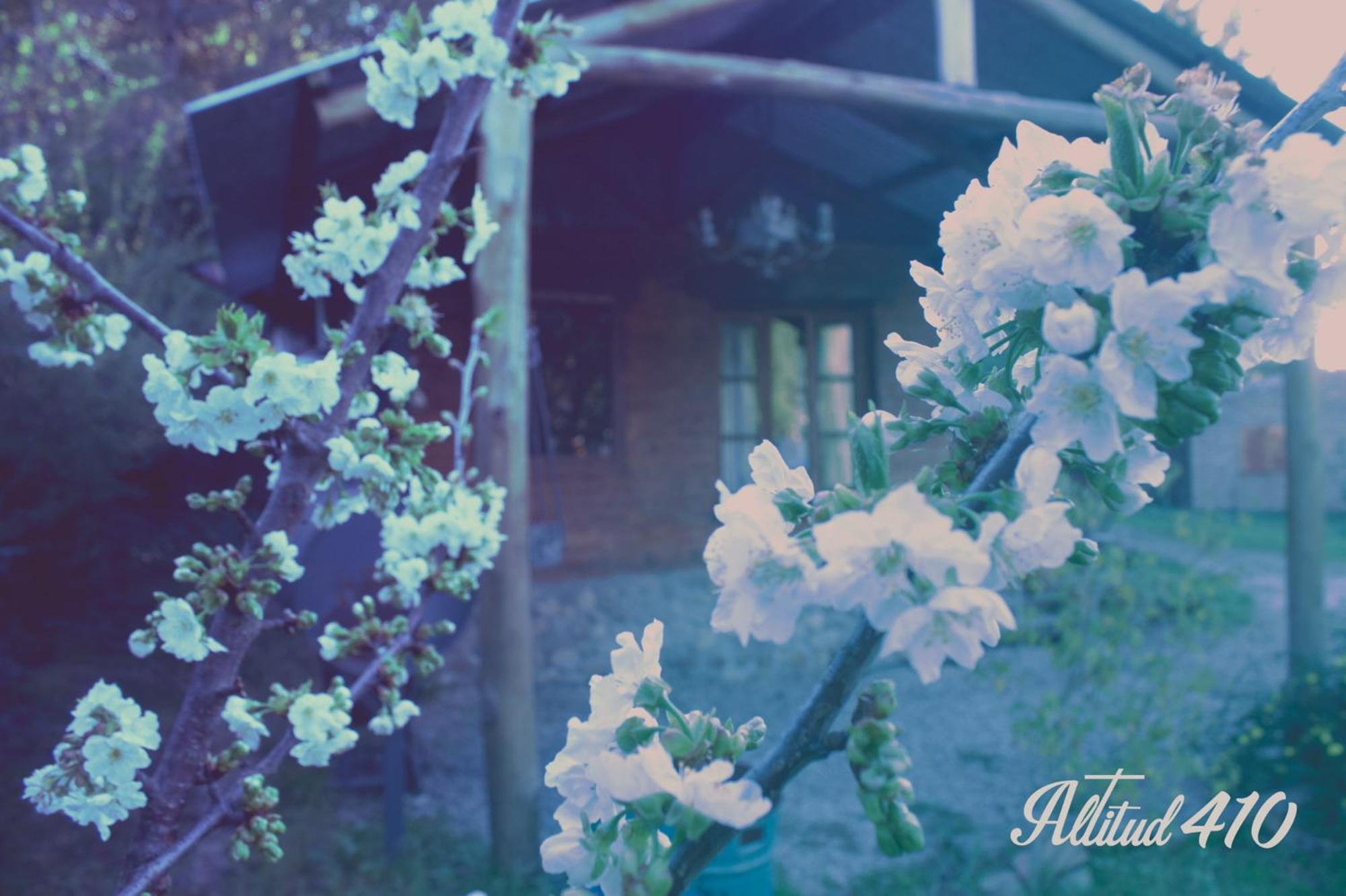 Altitud 410