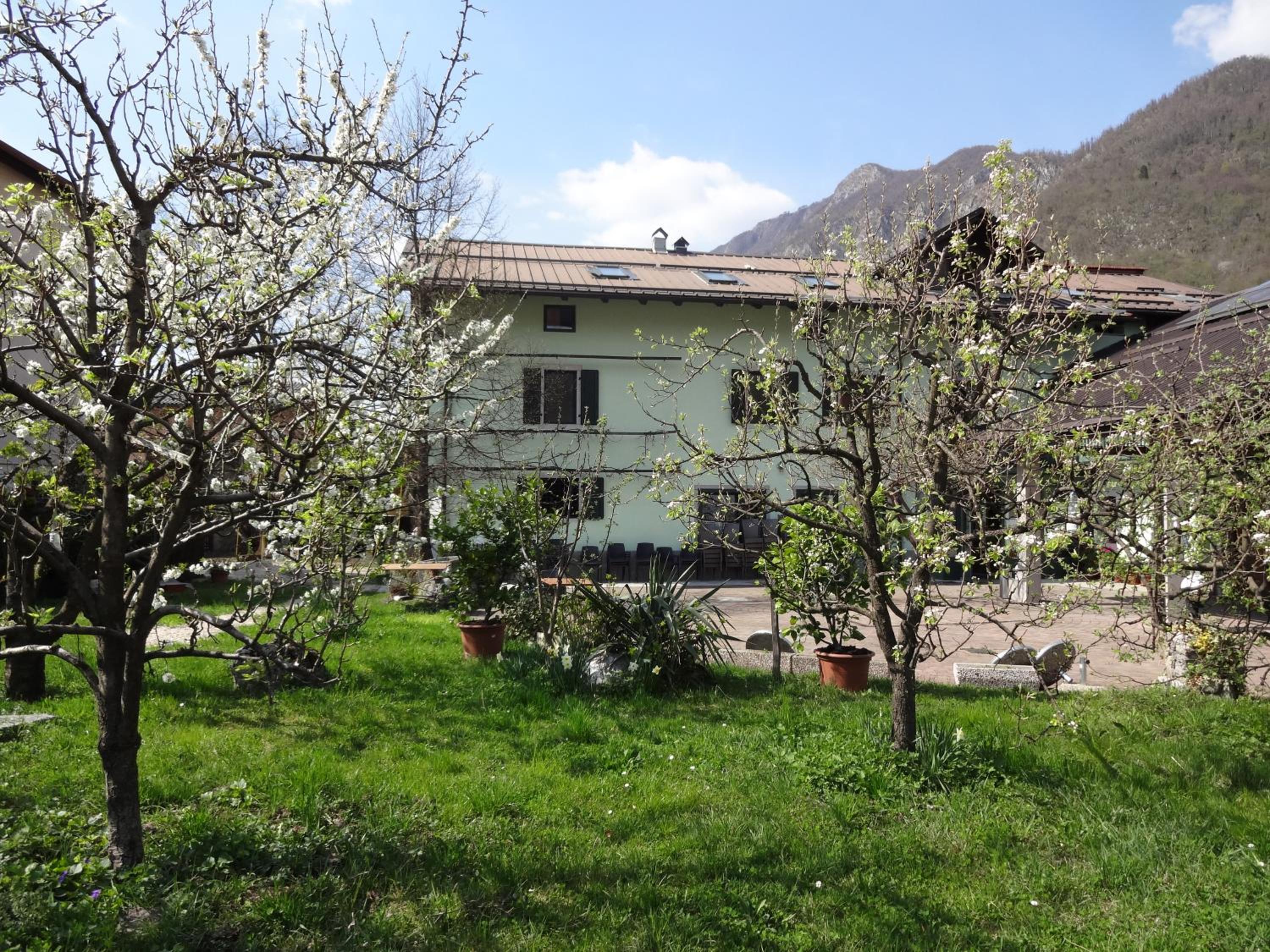 Photo 22