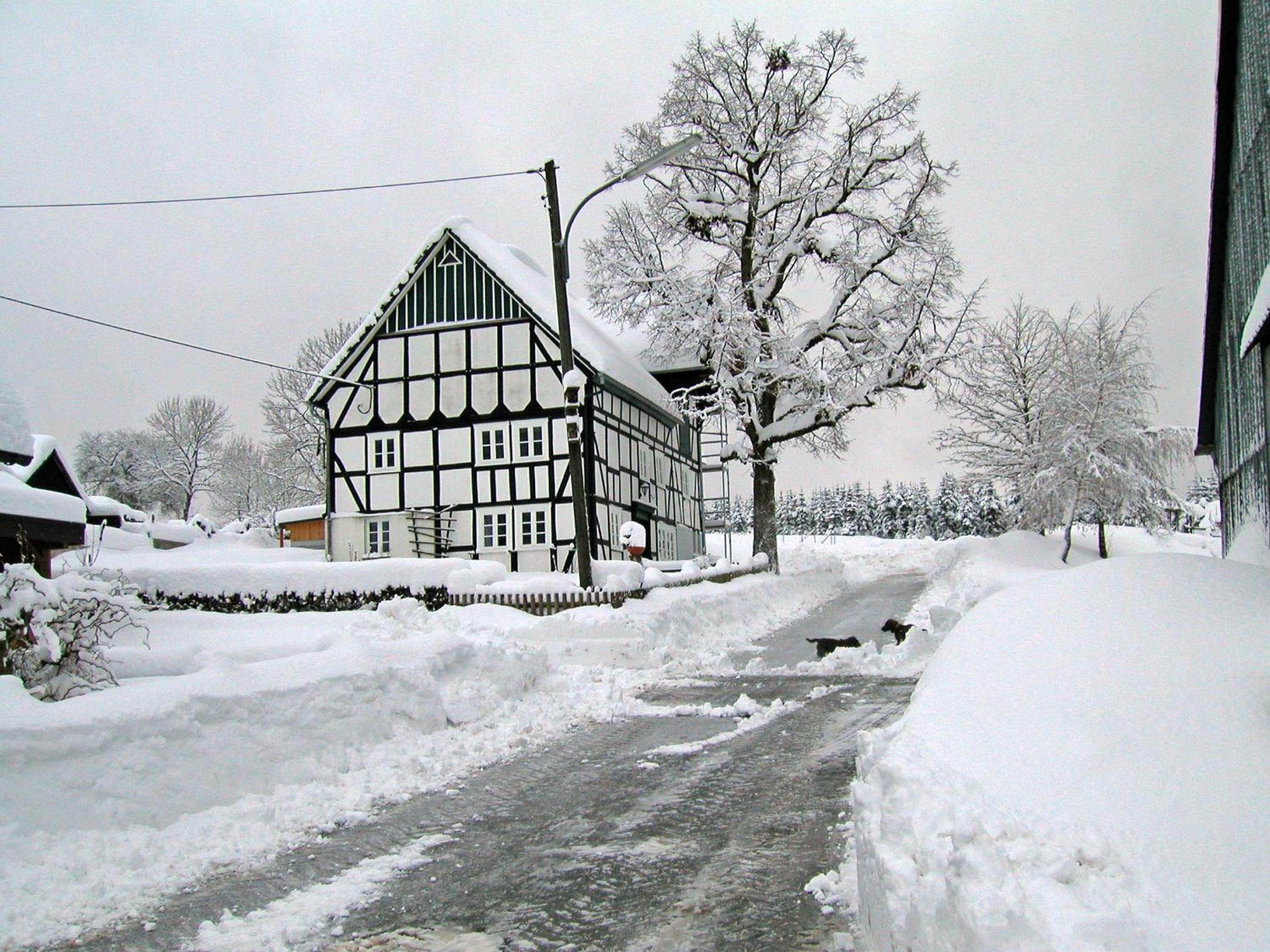 Ortmanns Eulennest