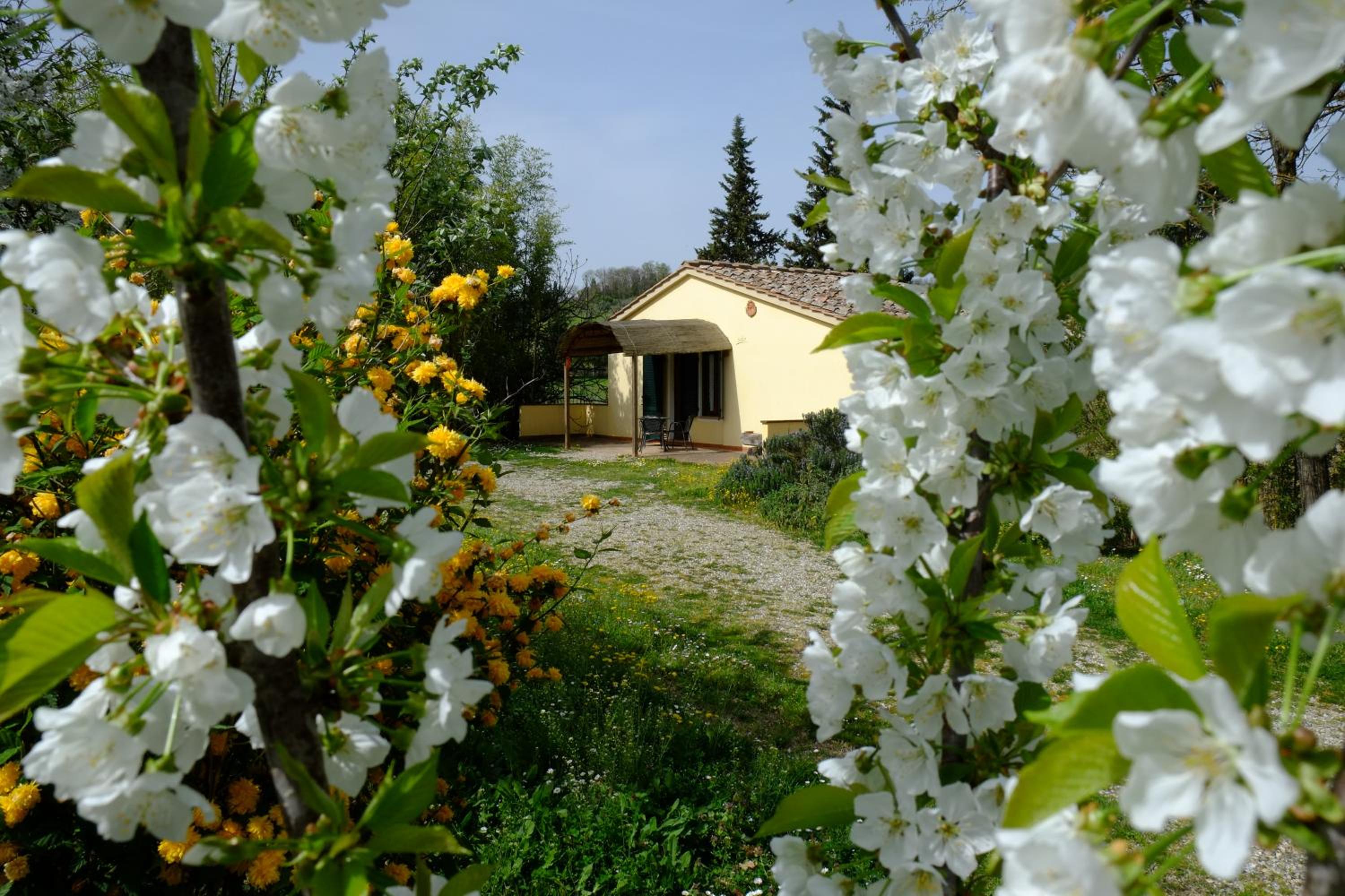 Photo 34