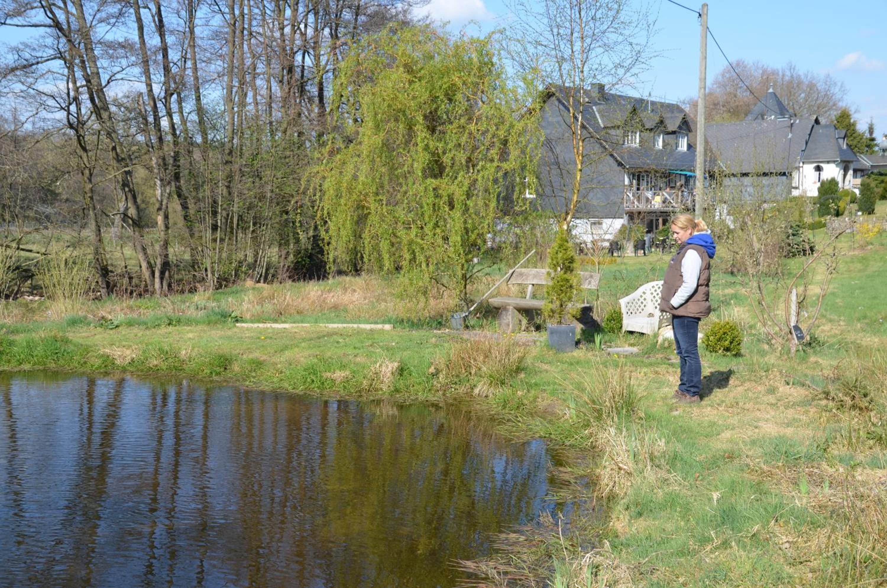 Photo 42