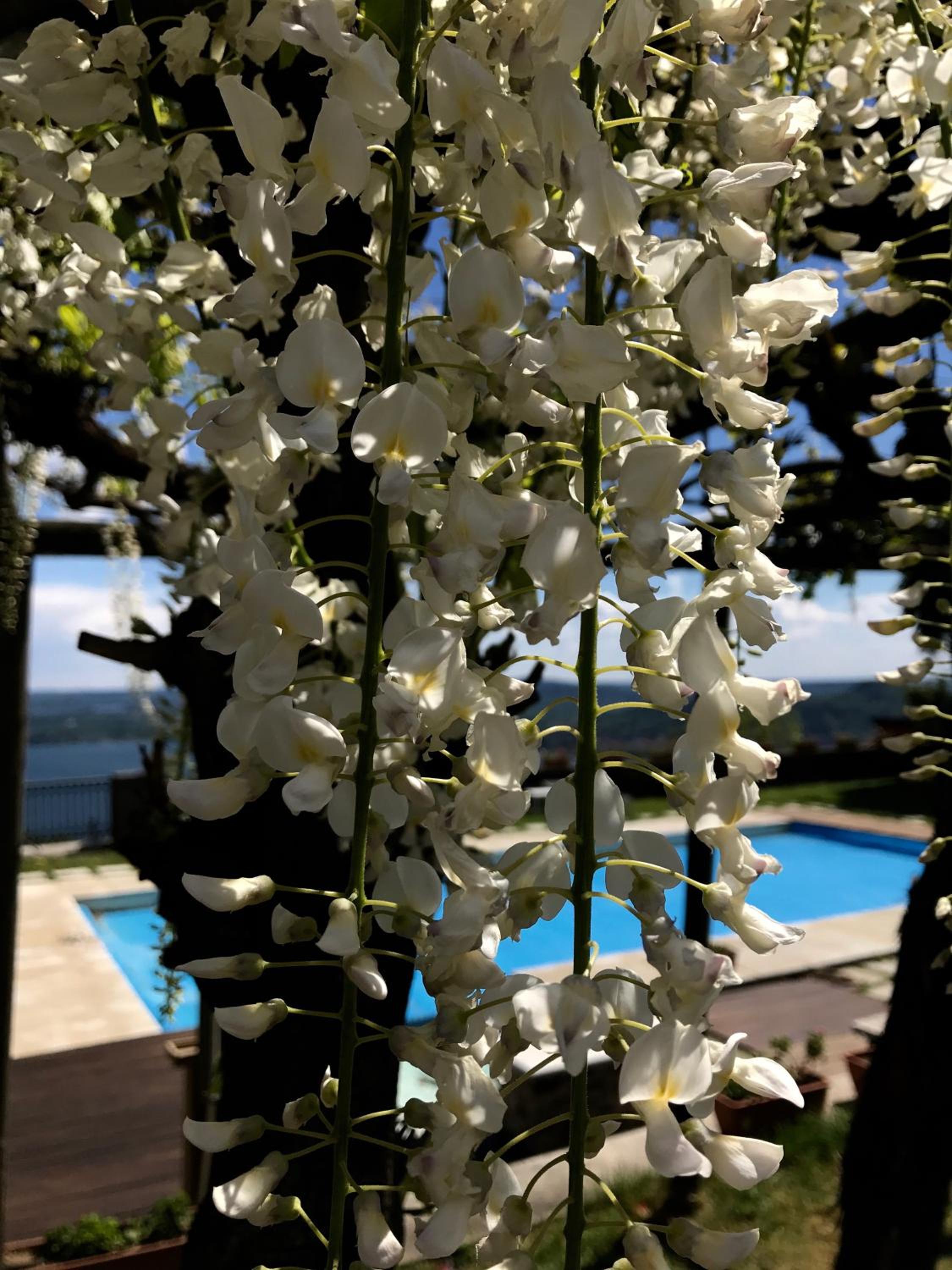 Casamariuccia
