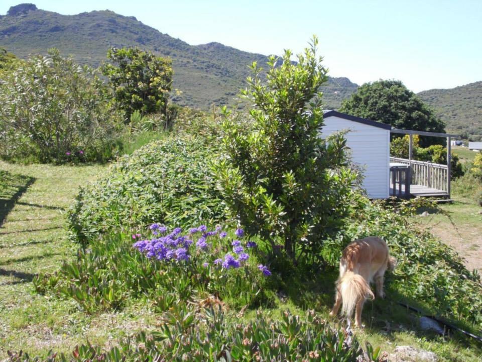 Photo 28