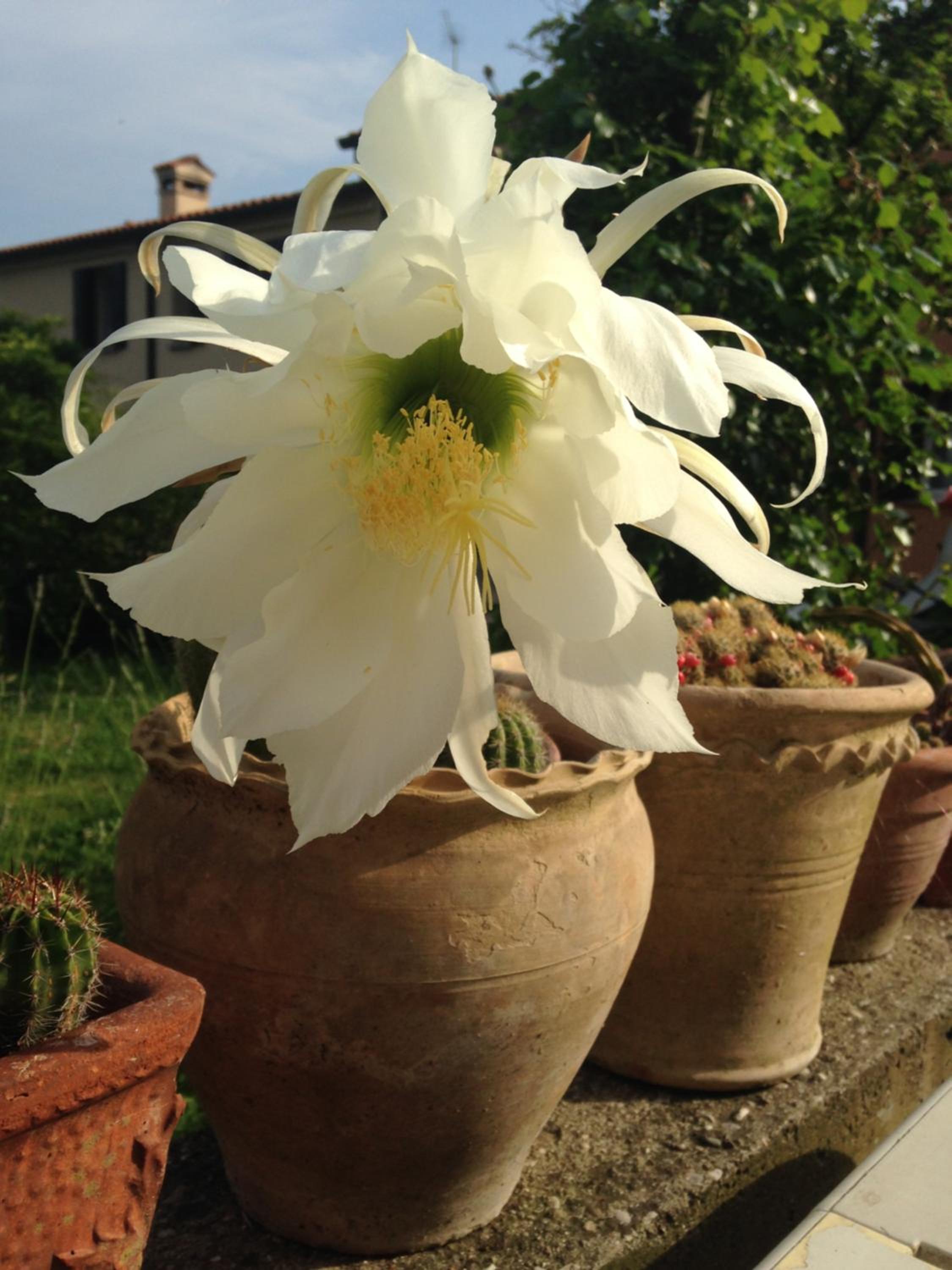 Agriturismo Terre Bianche