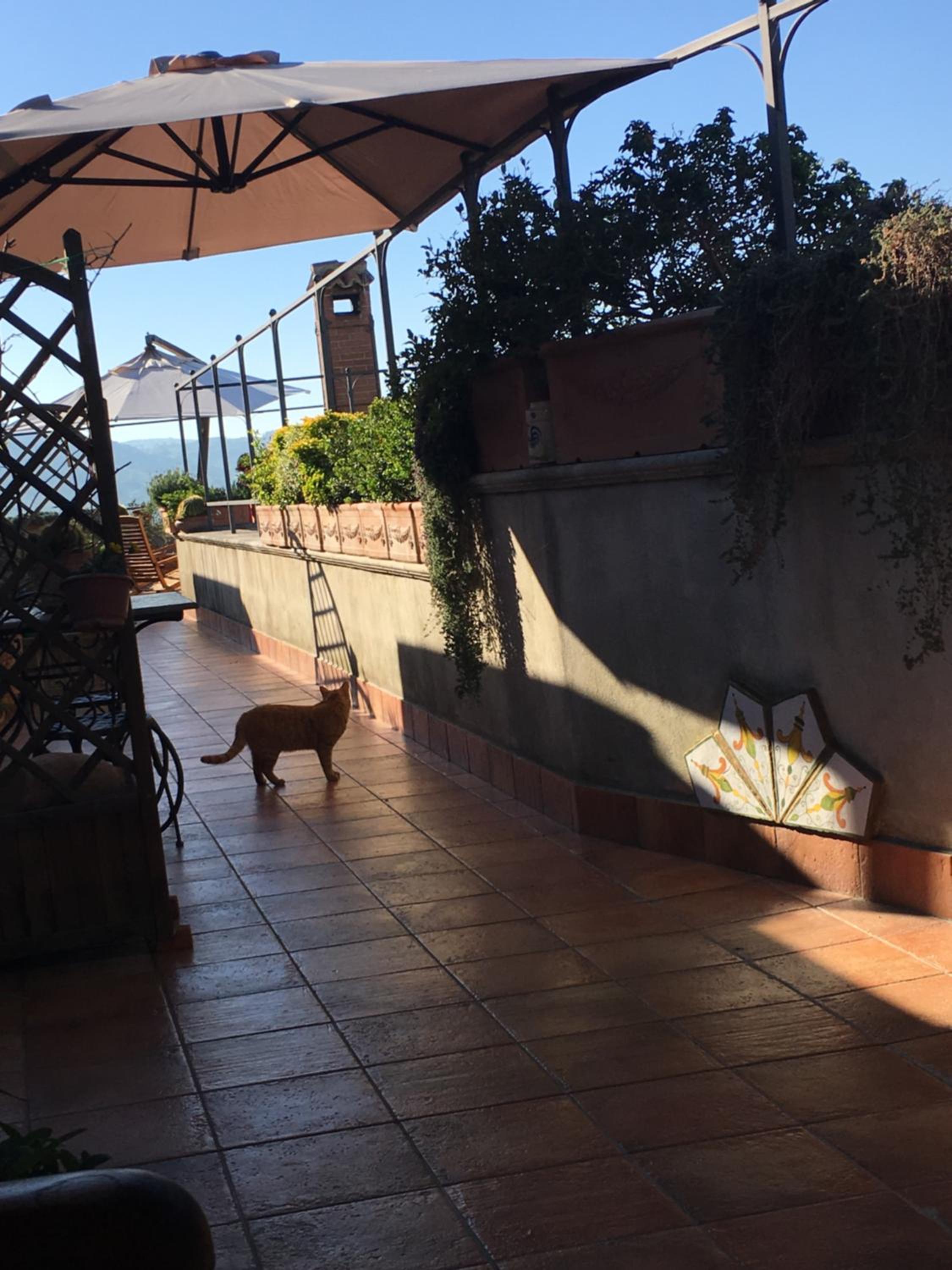 B&B MontAlbano view 3