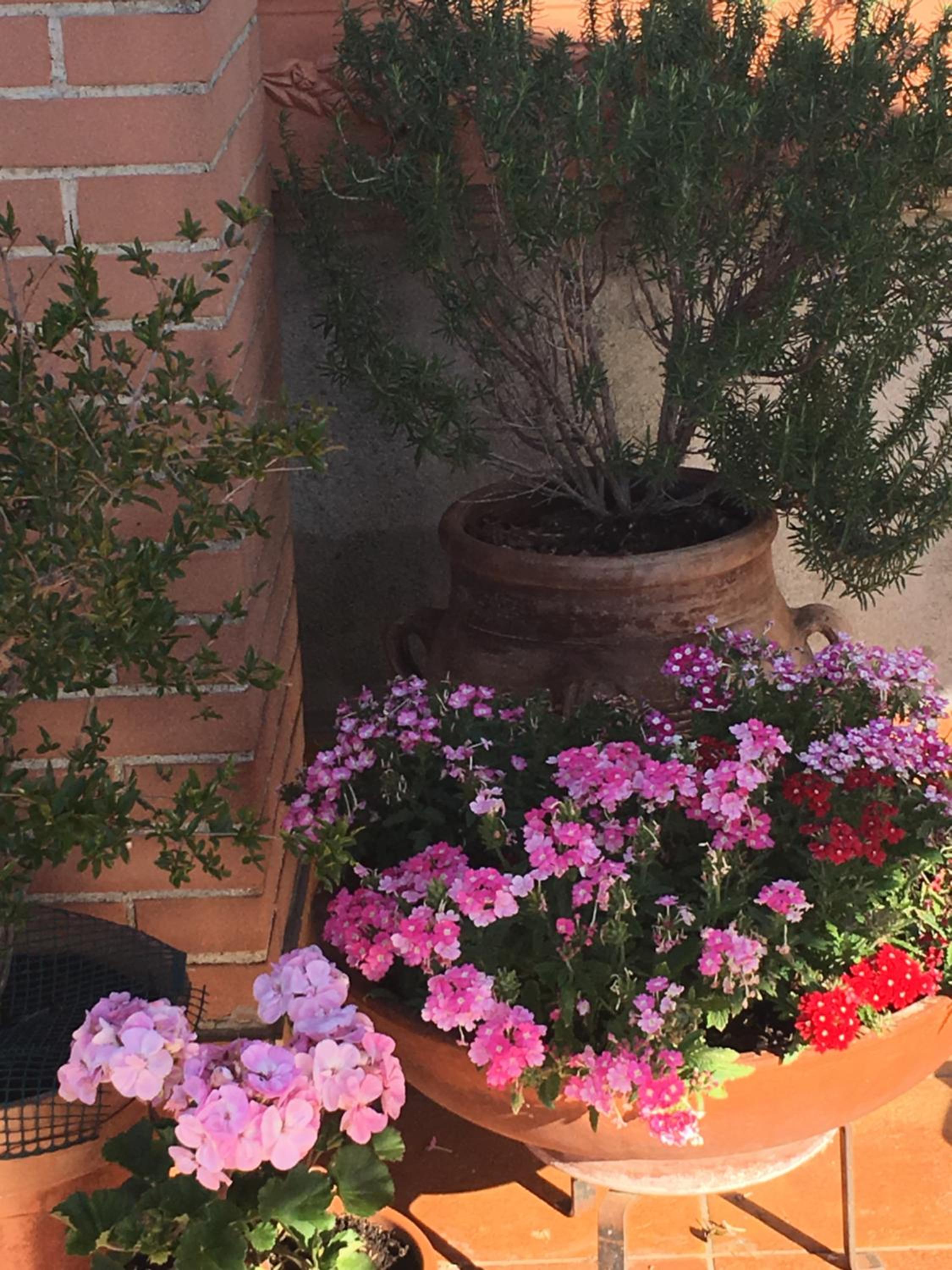 B&B MontAlbano view 4