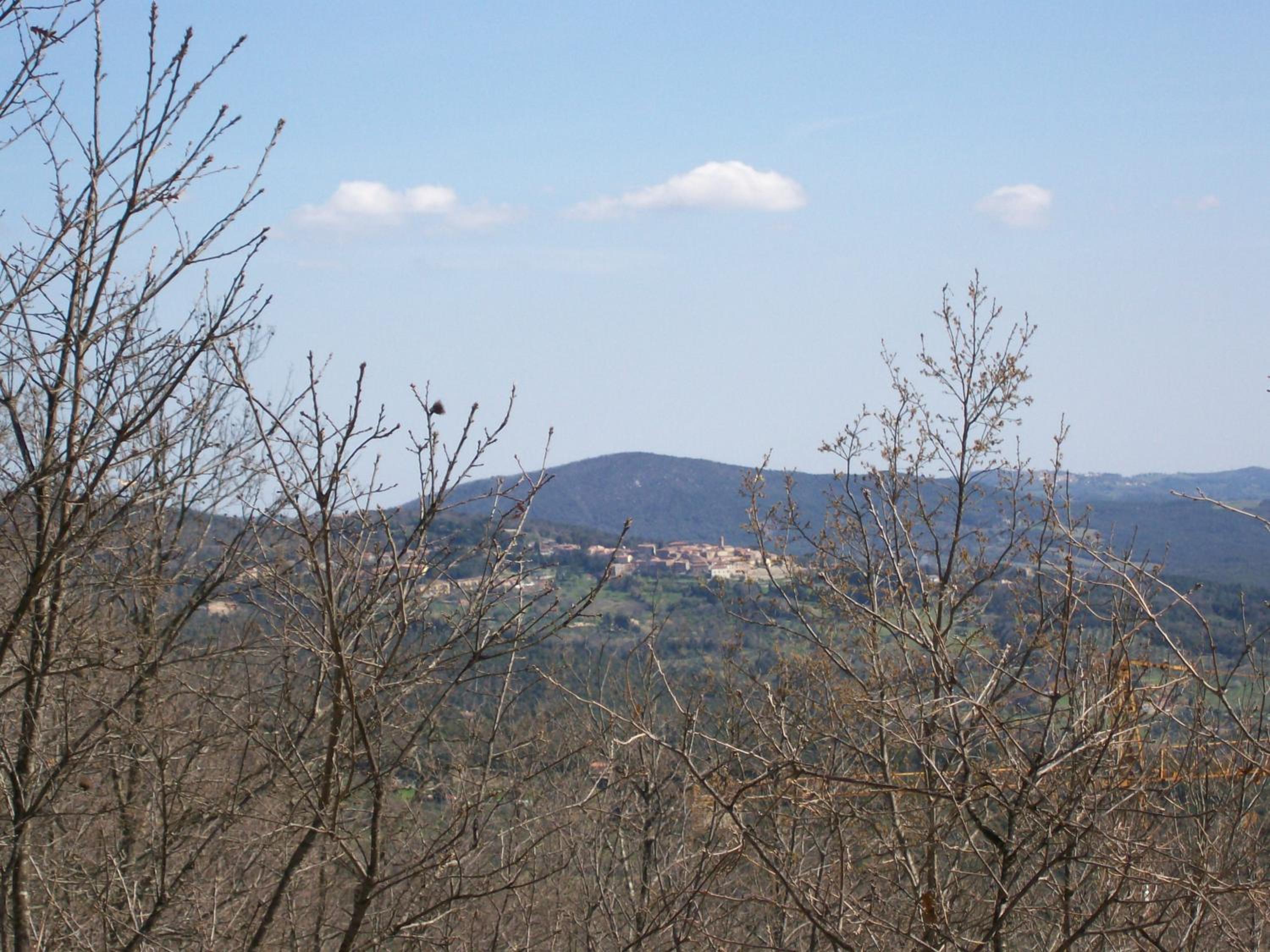 Photo 24