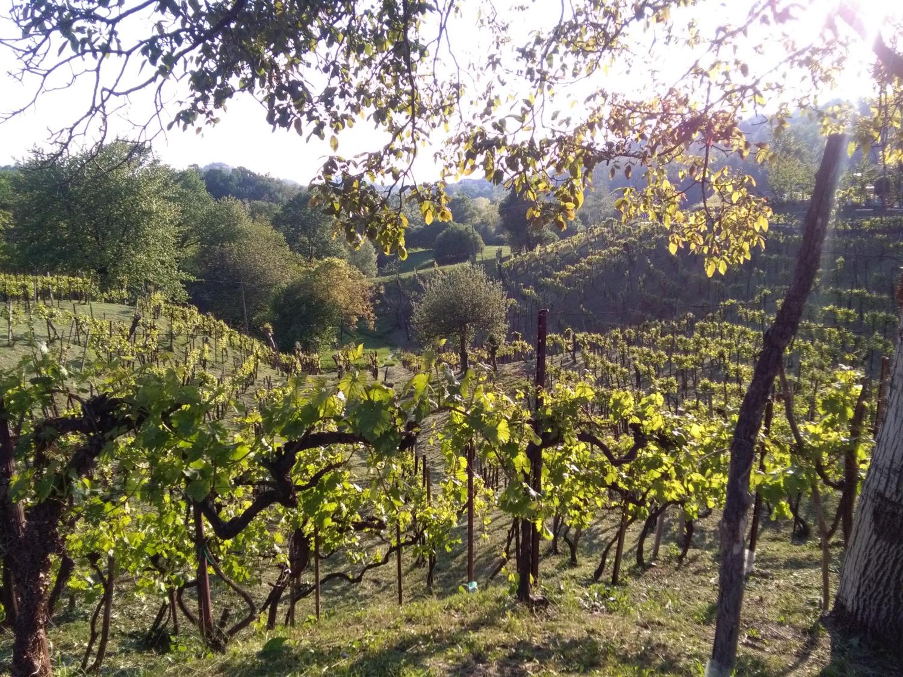 B&B Terre Di Bea