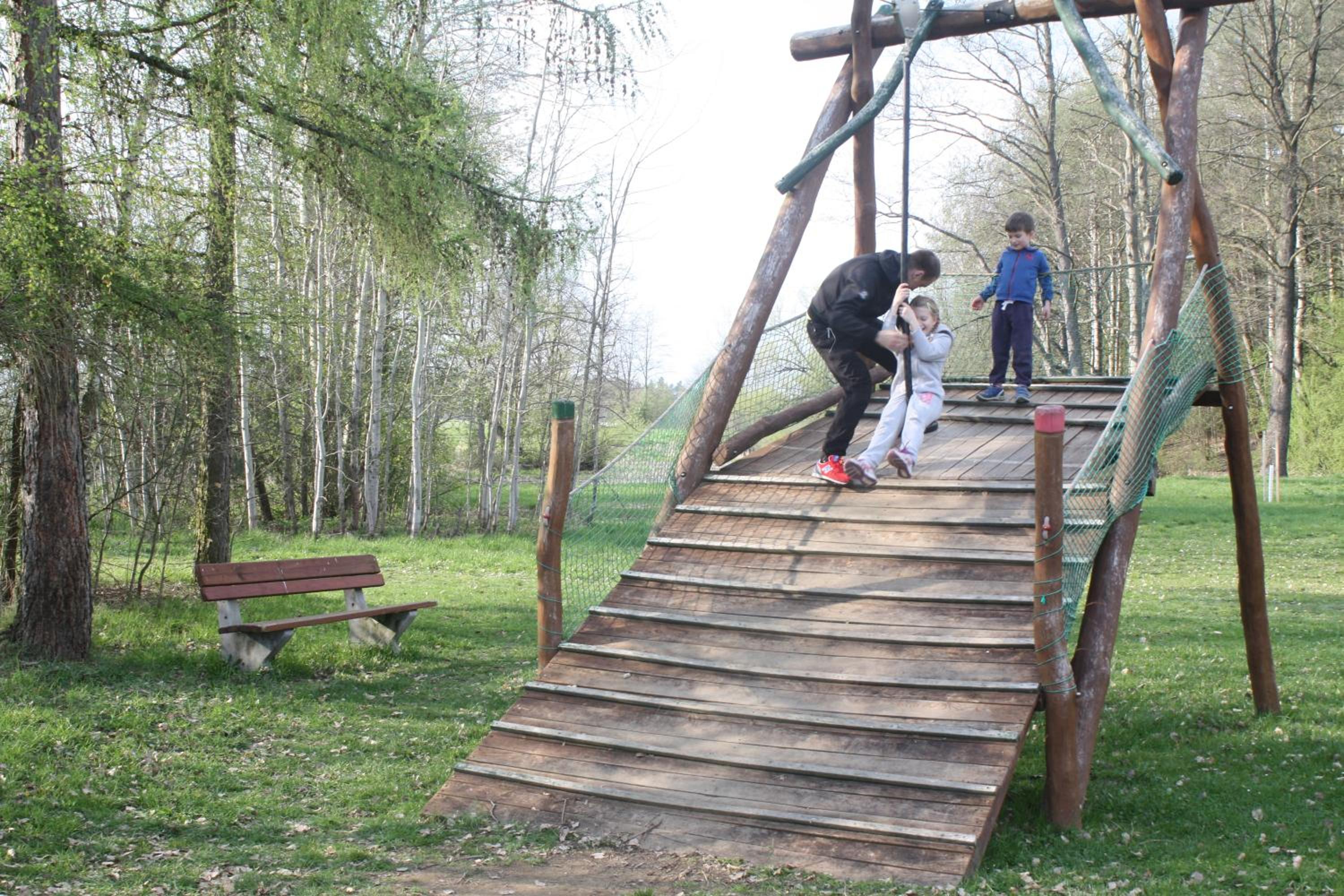 Photo 41