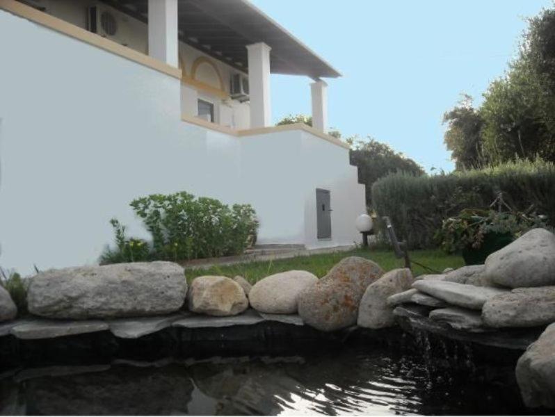 Level Houses