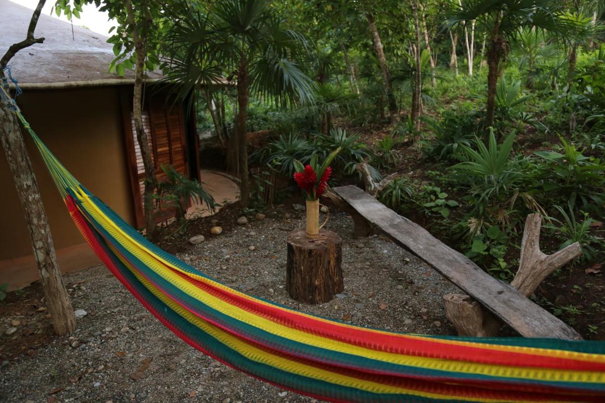 Reserva Ecologica Vive Copalitilla view 4