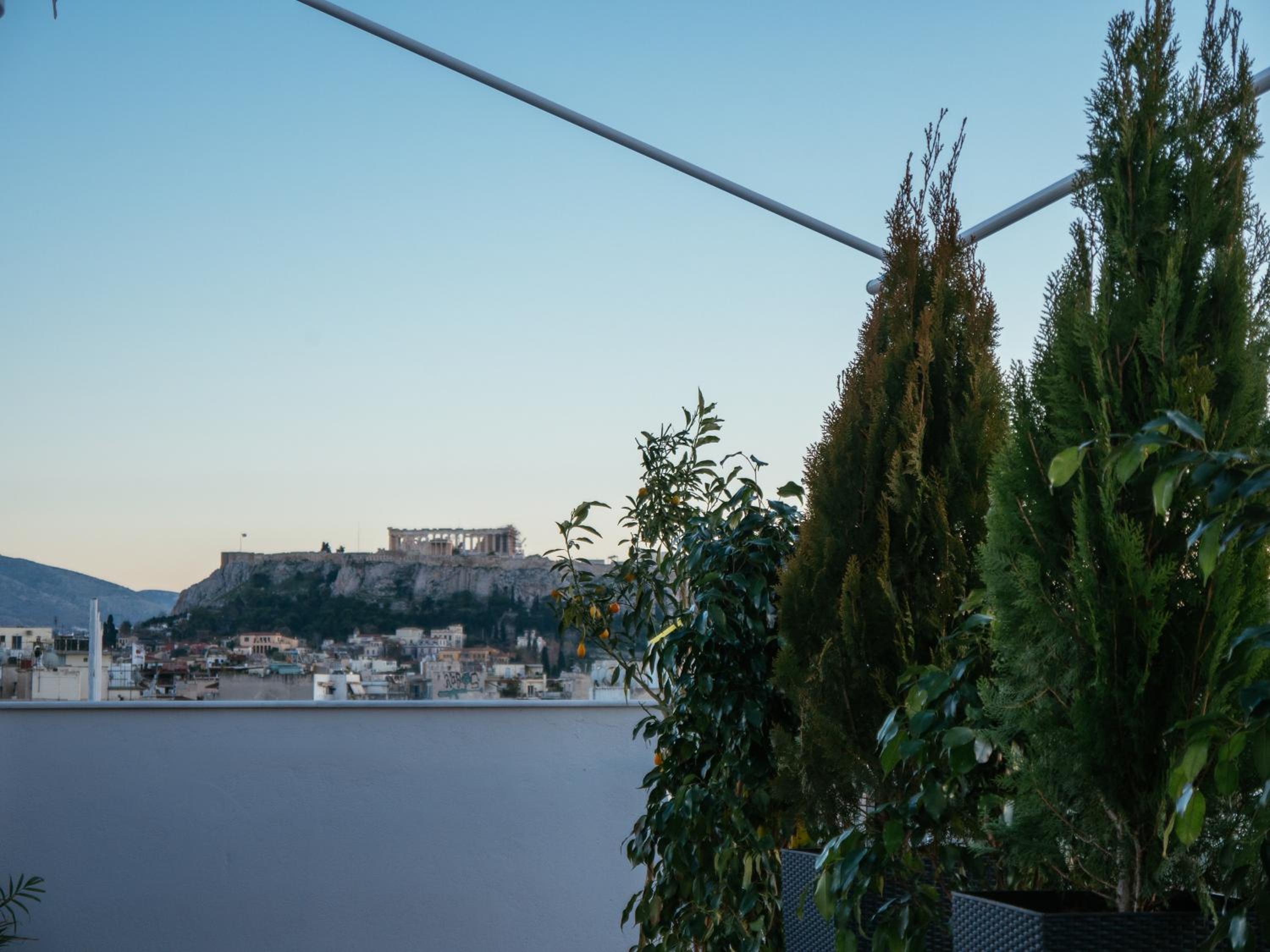 roof