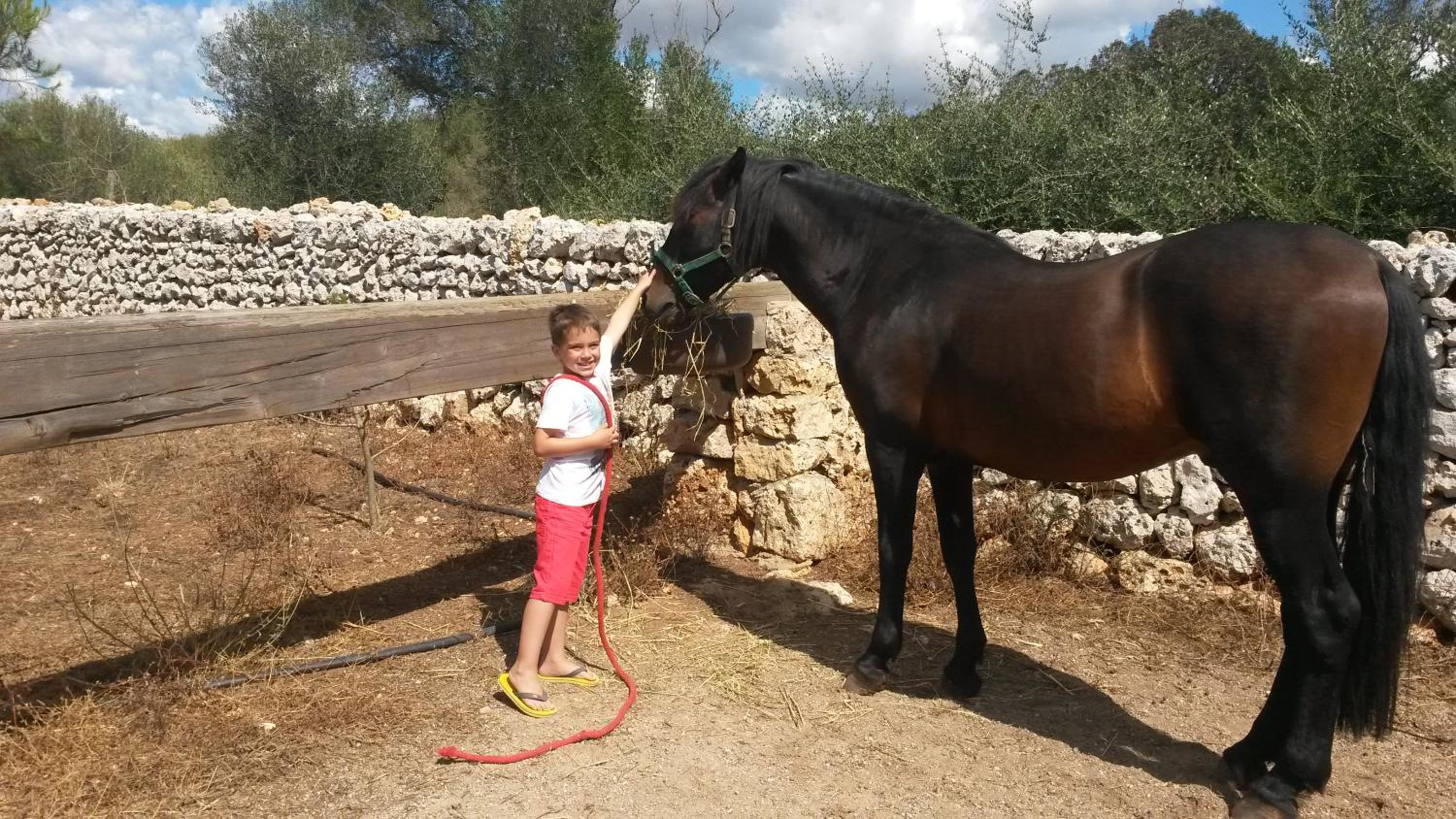 Turismo Rural Biniati des Pi