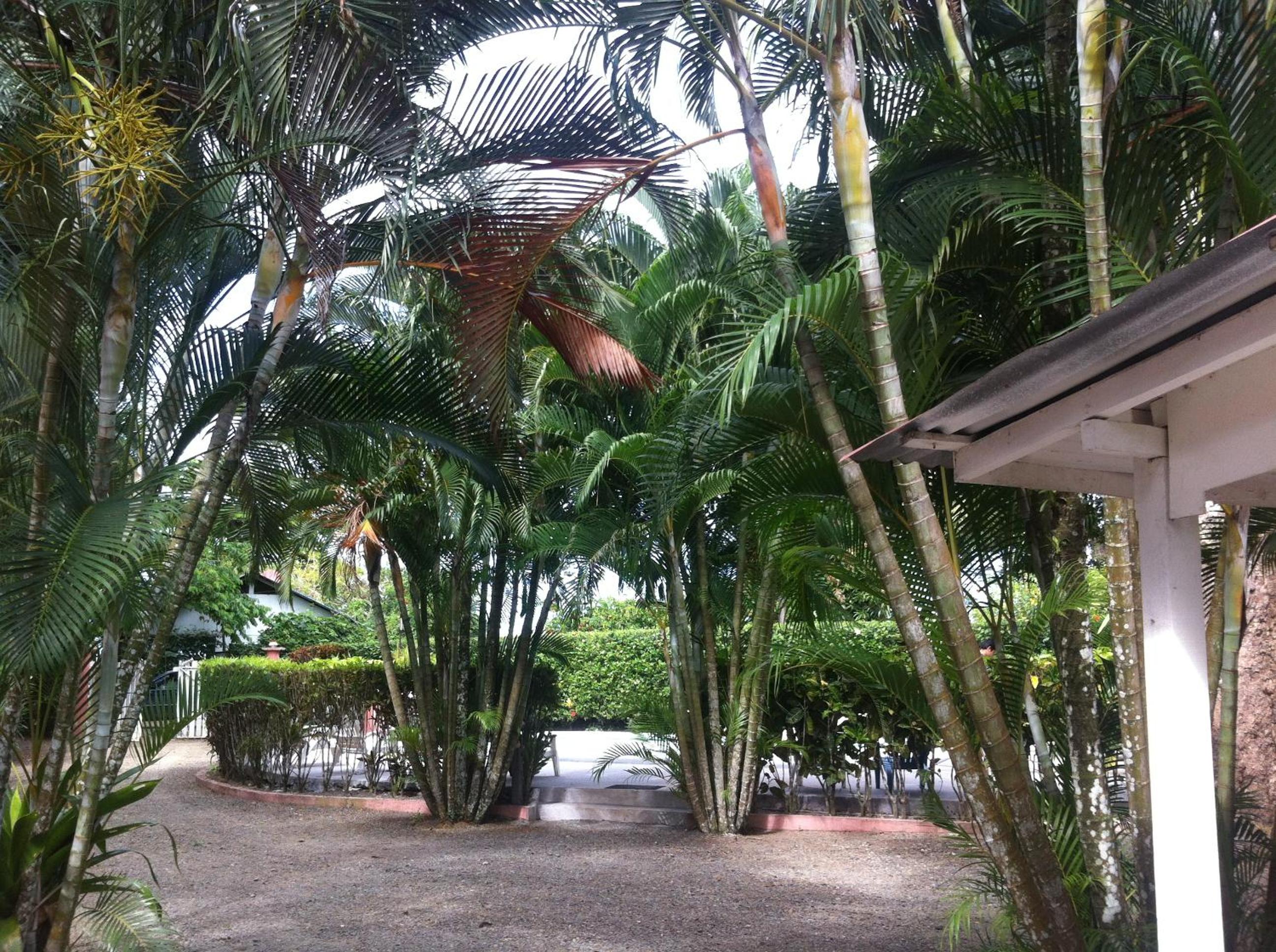 Villas Majolana