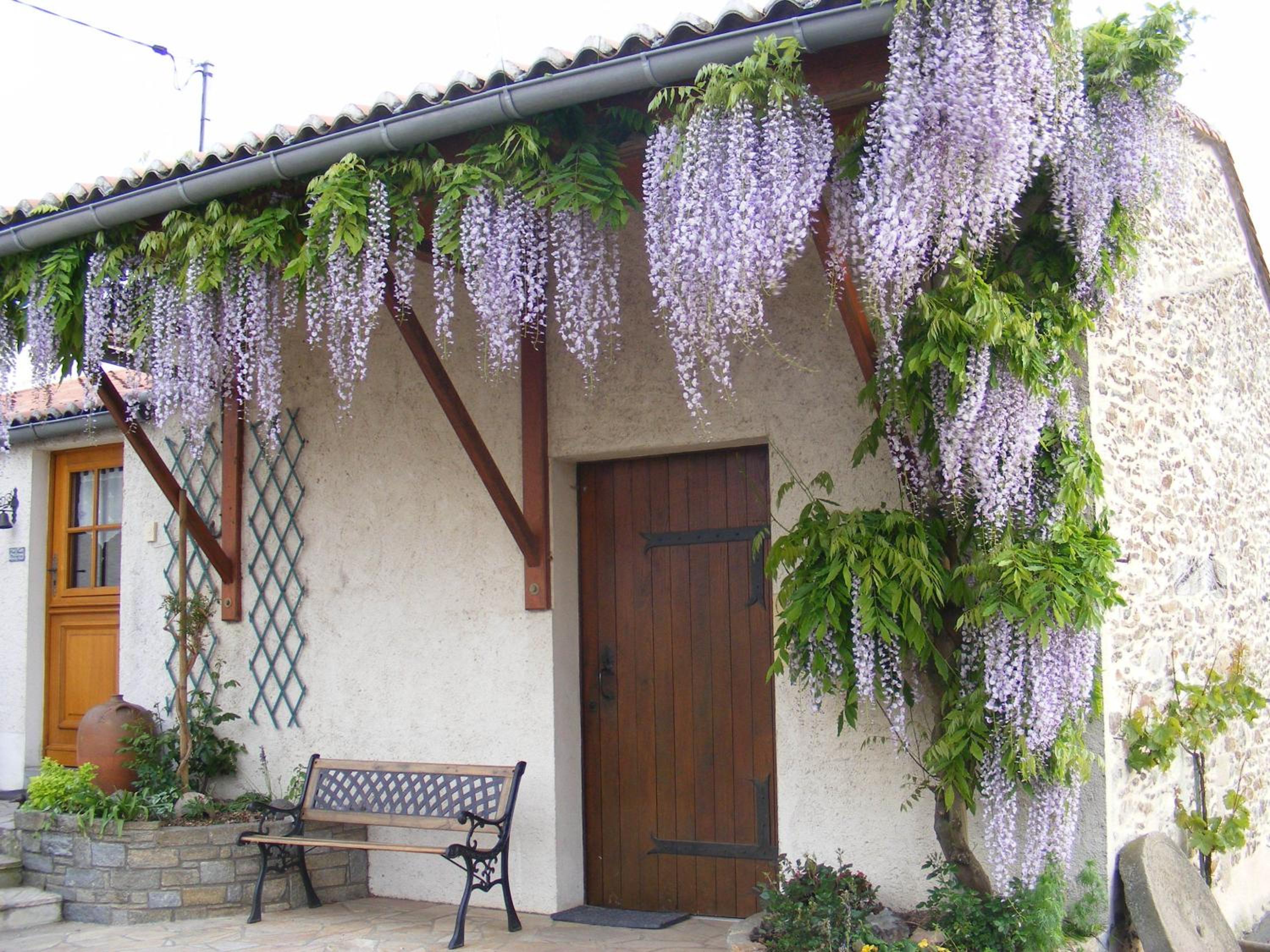 Chambres d'Hôtes Vignes et Loire
