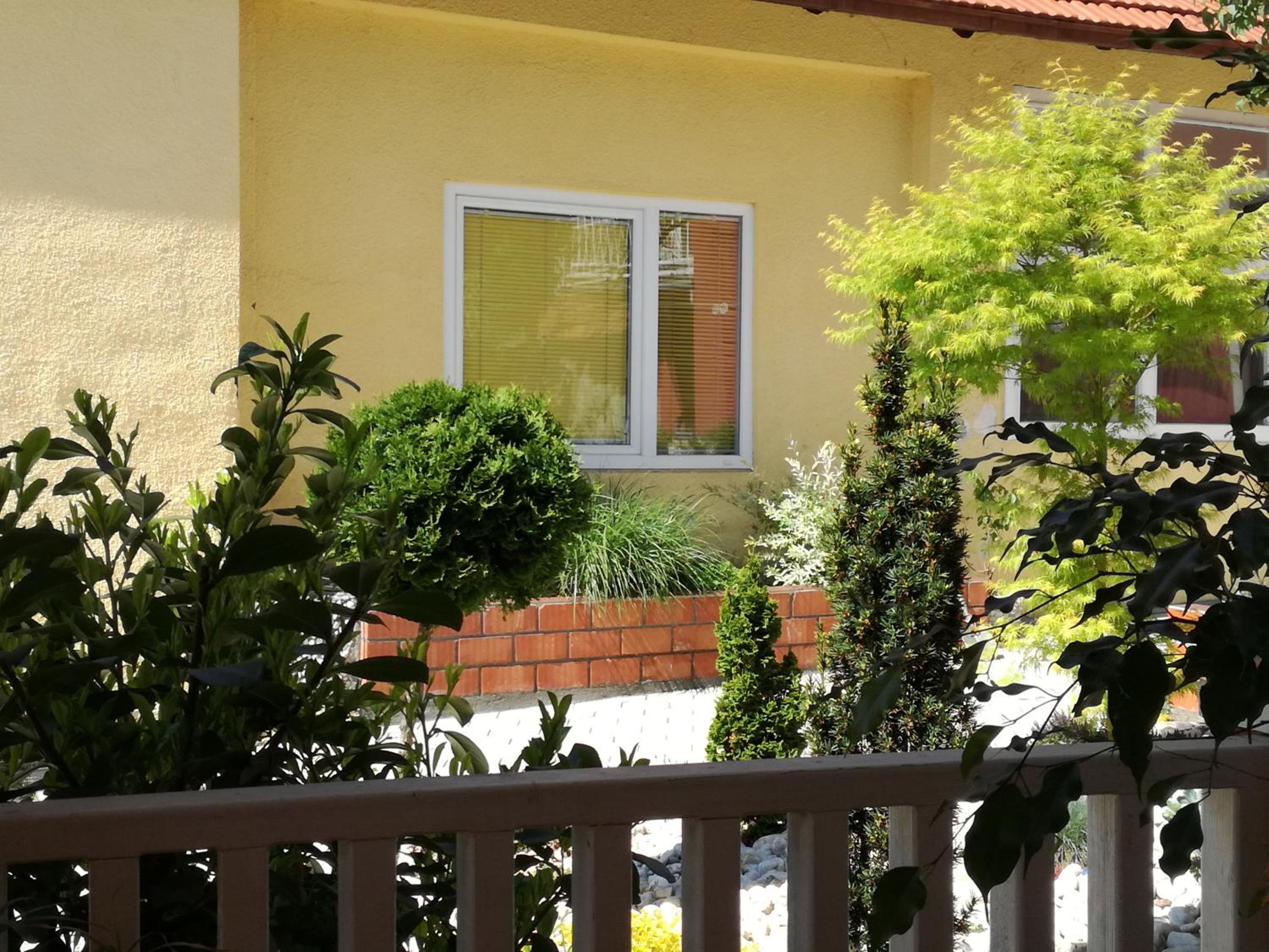 Photo 40