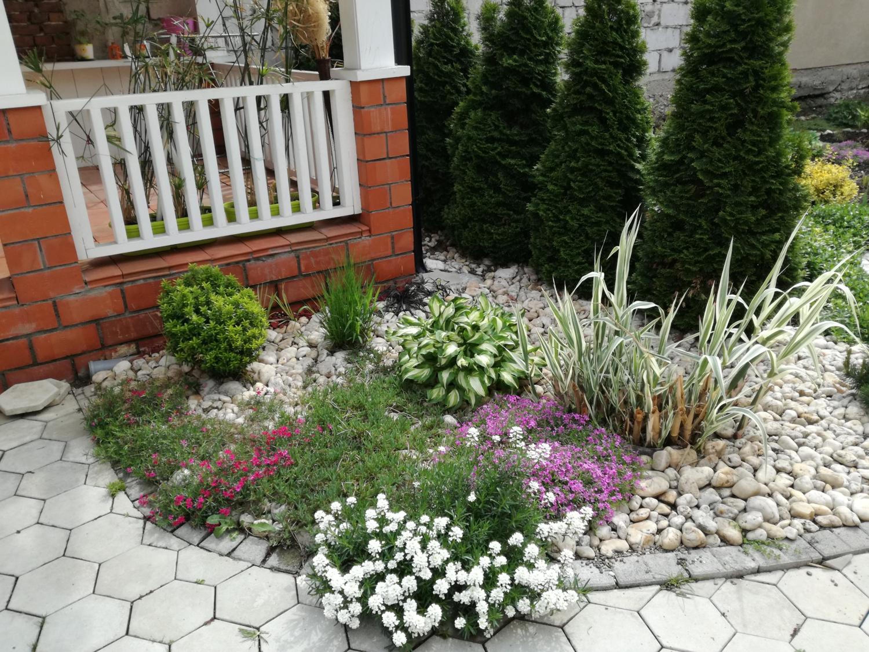Photo 44
